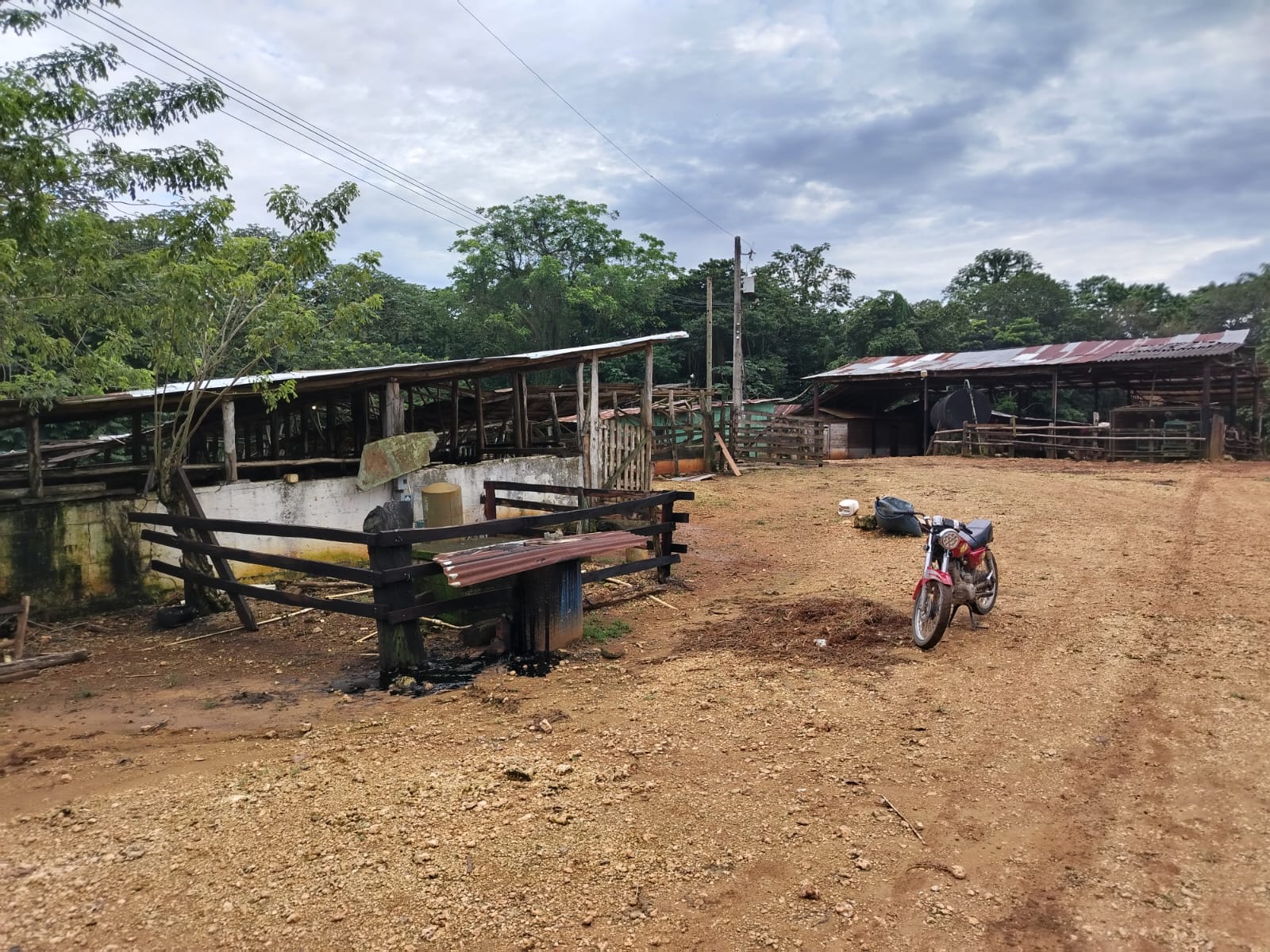 Finca de 4500 tareas Ganaderas con más de 700 tareas sembradas de Plát Foto 7267155-6.jpg