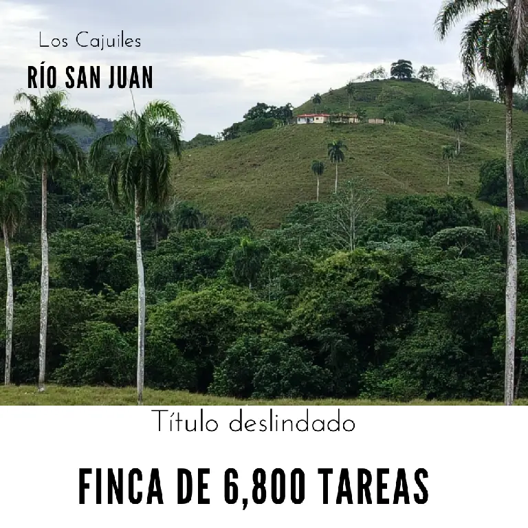 Finca de 6800 tareas con vocación Agrícola y Ganadera en Río San Juan  Foto 7267157-1.jpg