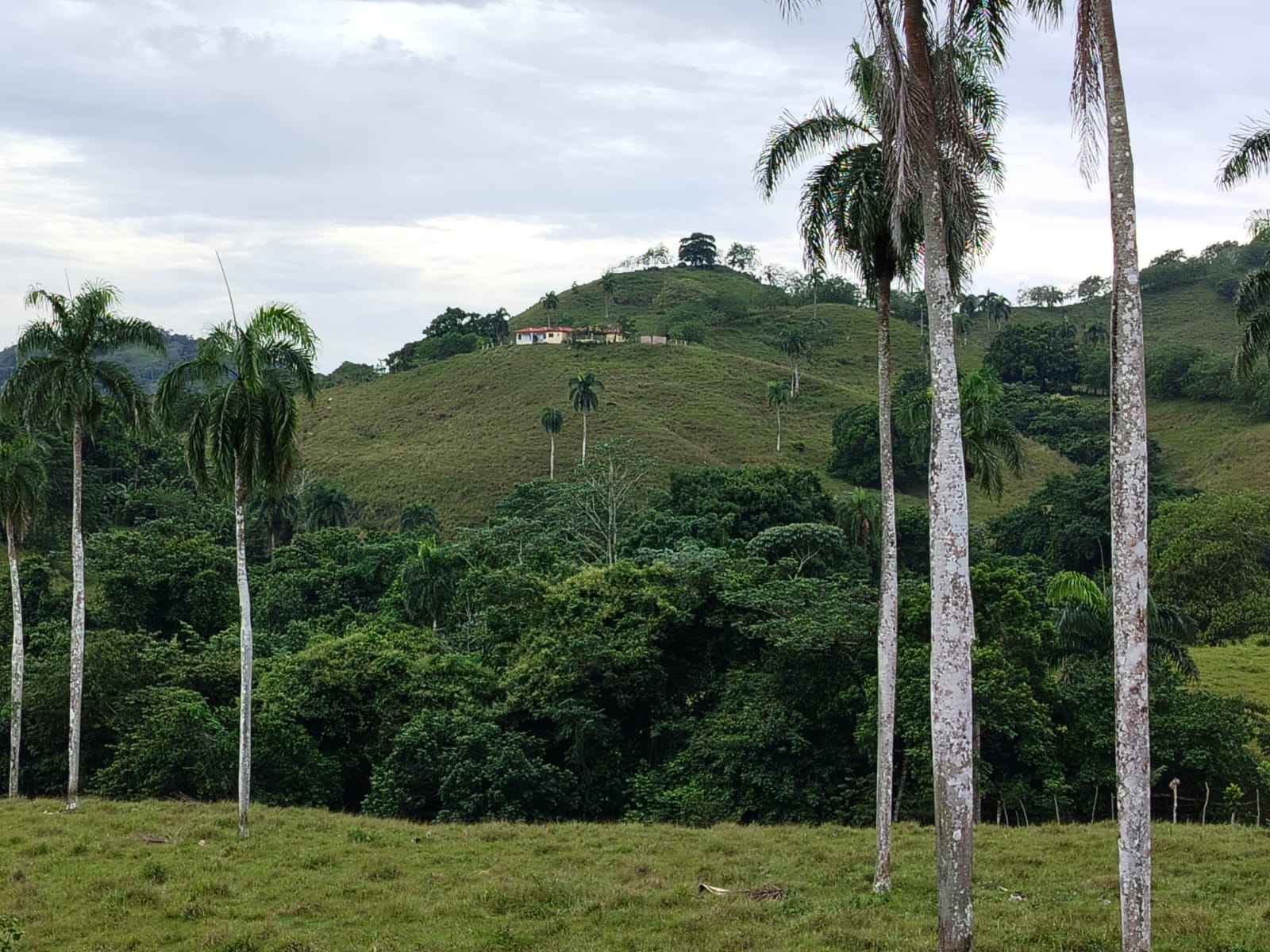Finca de 6800 tareas con vocación Agrícola y Ganadera en Río San Juan  Foto 7267157-2.jpg