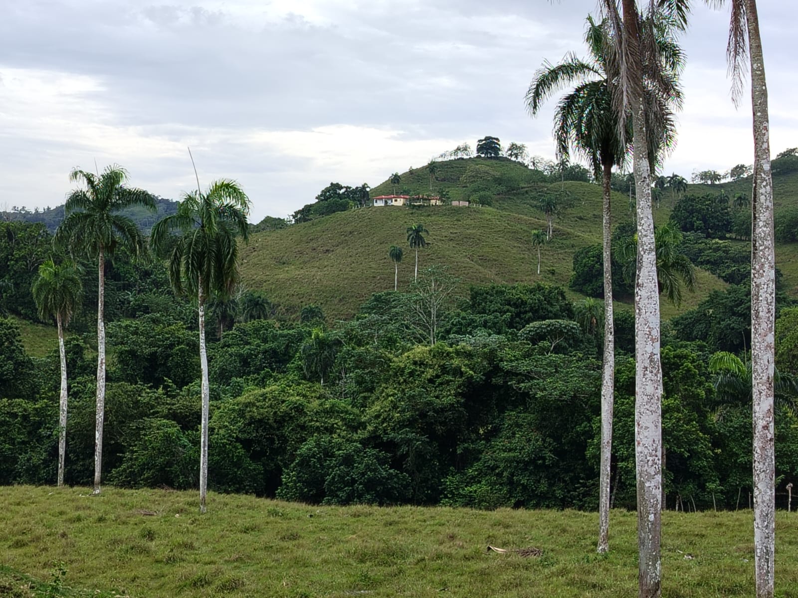 Finca de 6800 tareas con vocación Agrícola y Ganadera en Río San Juan  Foto 7267157-3.jpg