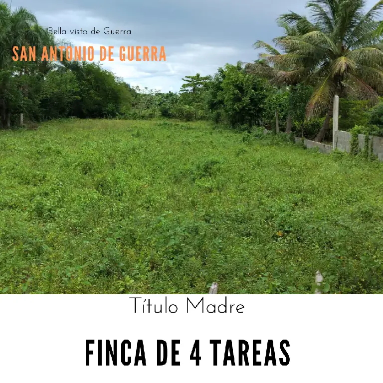 Finca de 4 tareas Ideal para tu casa campestre   Ubicada en el mismo b Foto 7267159-1.jpg