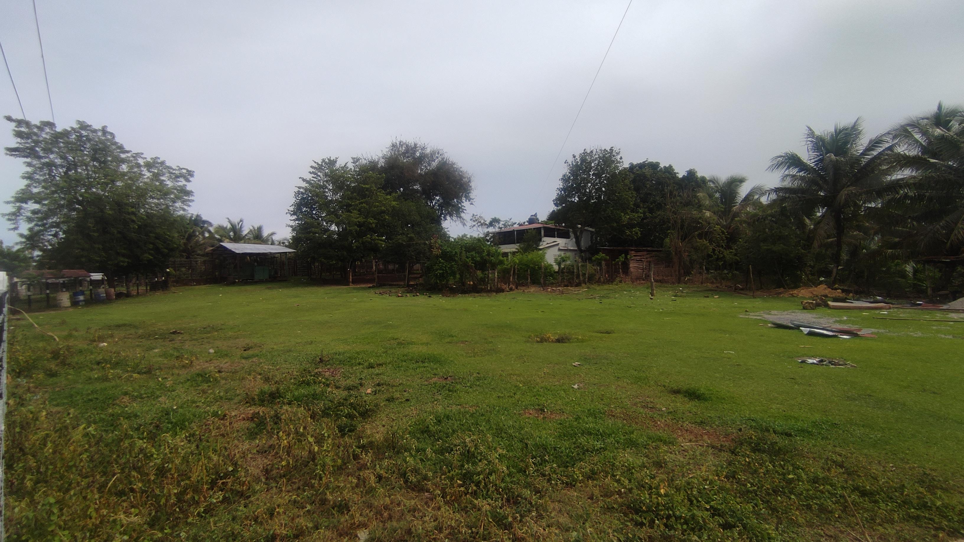 Finca de 3500 tareas ganaderas y sembrada de Cocó en Nagua   Foto 7267167-2.jpg