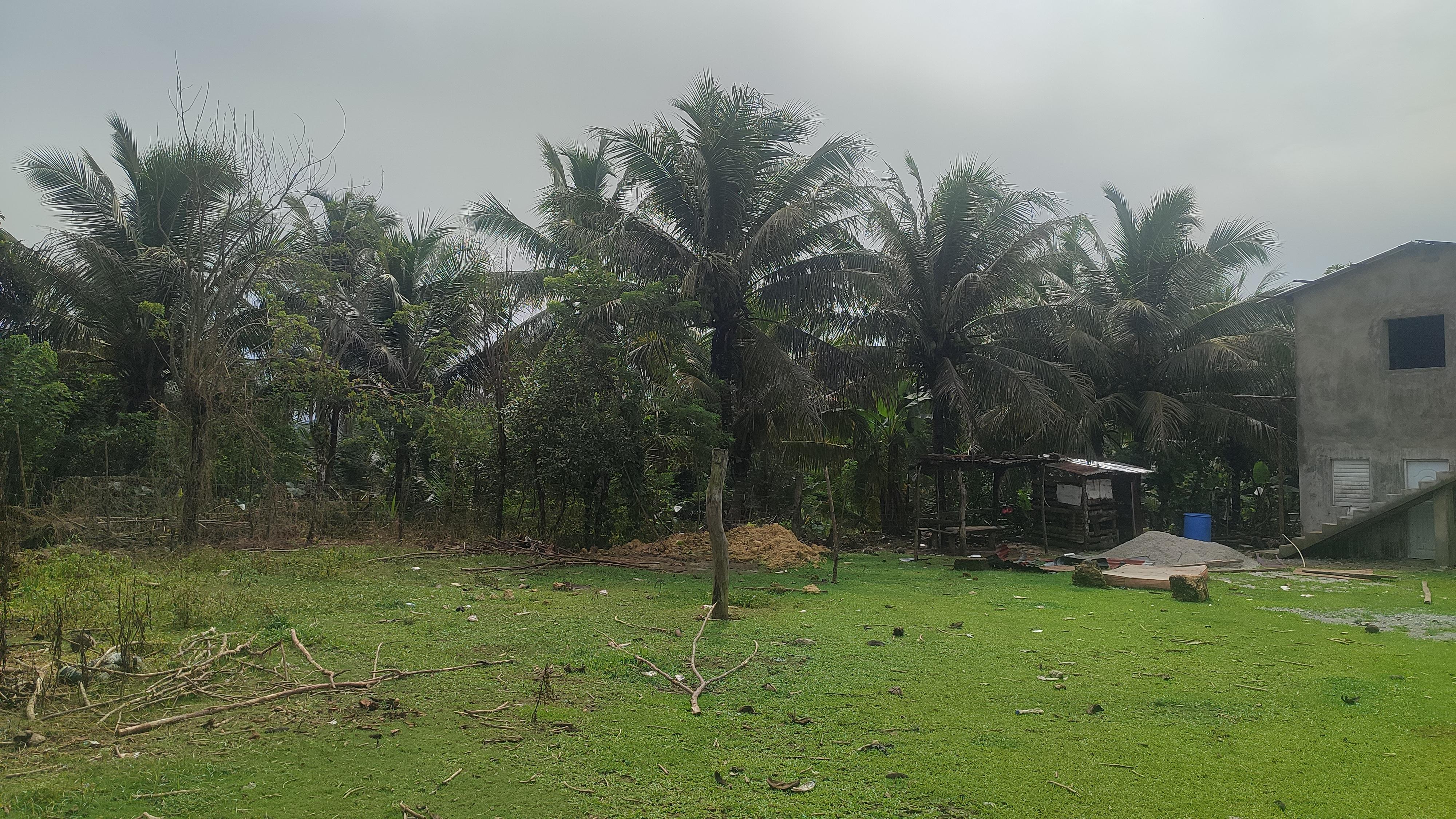 Finca de 3500 tareas ganaderas y sembrada de Cocó en Nagua   Foto 7267167-5.jpg