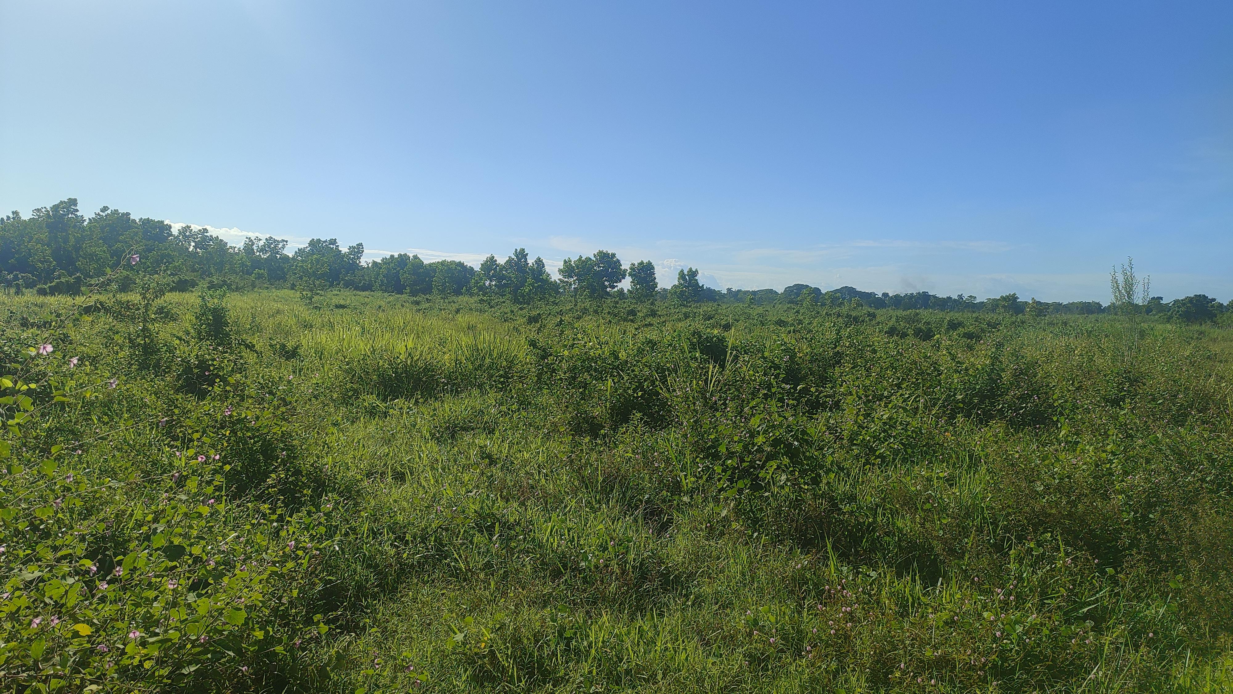 Finca de 1190 tareas ganaderas y agrícolas en Guerra  Foto 7267169-14.jpg