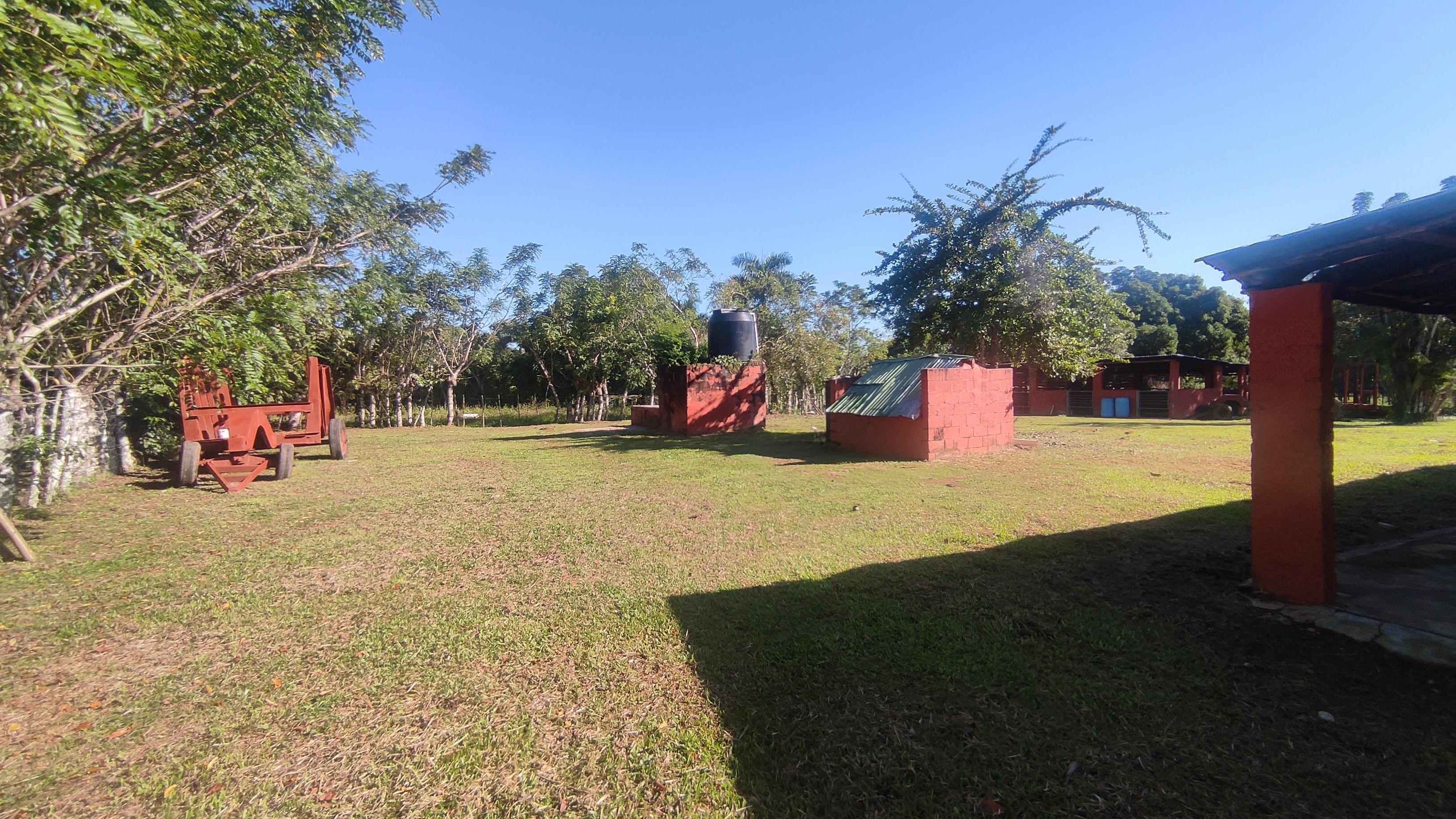 Finca de 1190 tareas ganaderas y agrícolas en Guerra  Foto 7267169-7.jpg