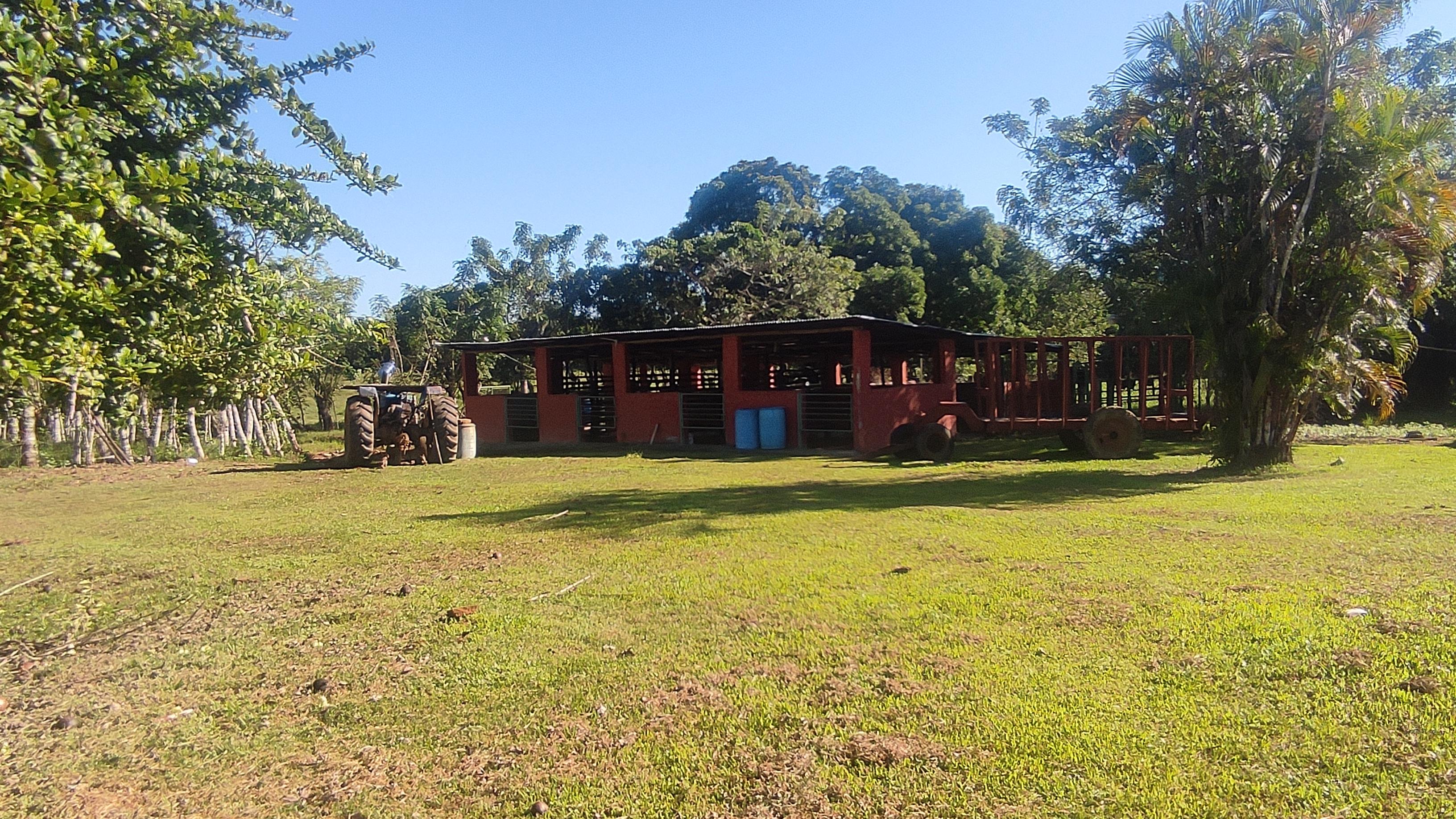 Finca de 1190 tareas ganaderas y agrícolas en Guerra  Foto 7267169-8.jpg
