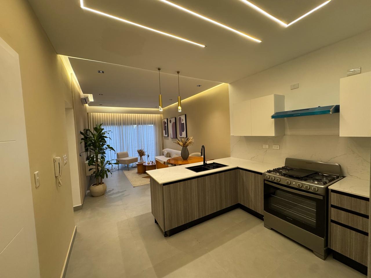 Moderno Apartamento amueblado en alquiler de 1 habitación en el Naco Foto 7268087-13.jpg