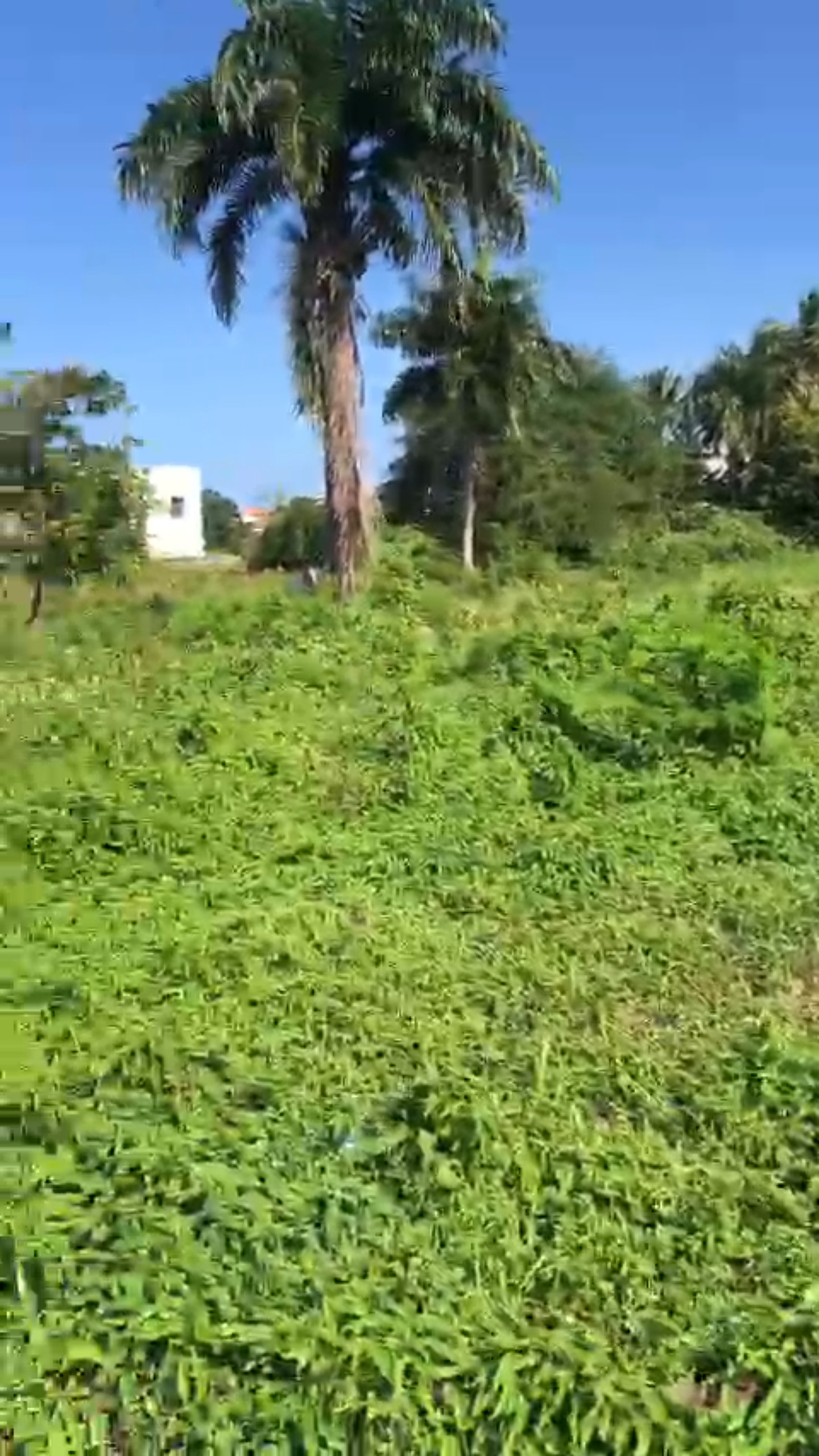 SOLAR RESIDENCIAL EN PUERTO PLATA. Foto 7268752-9.jpg