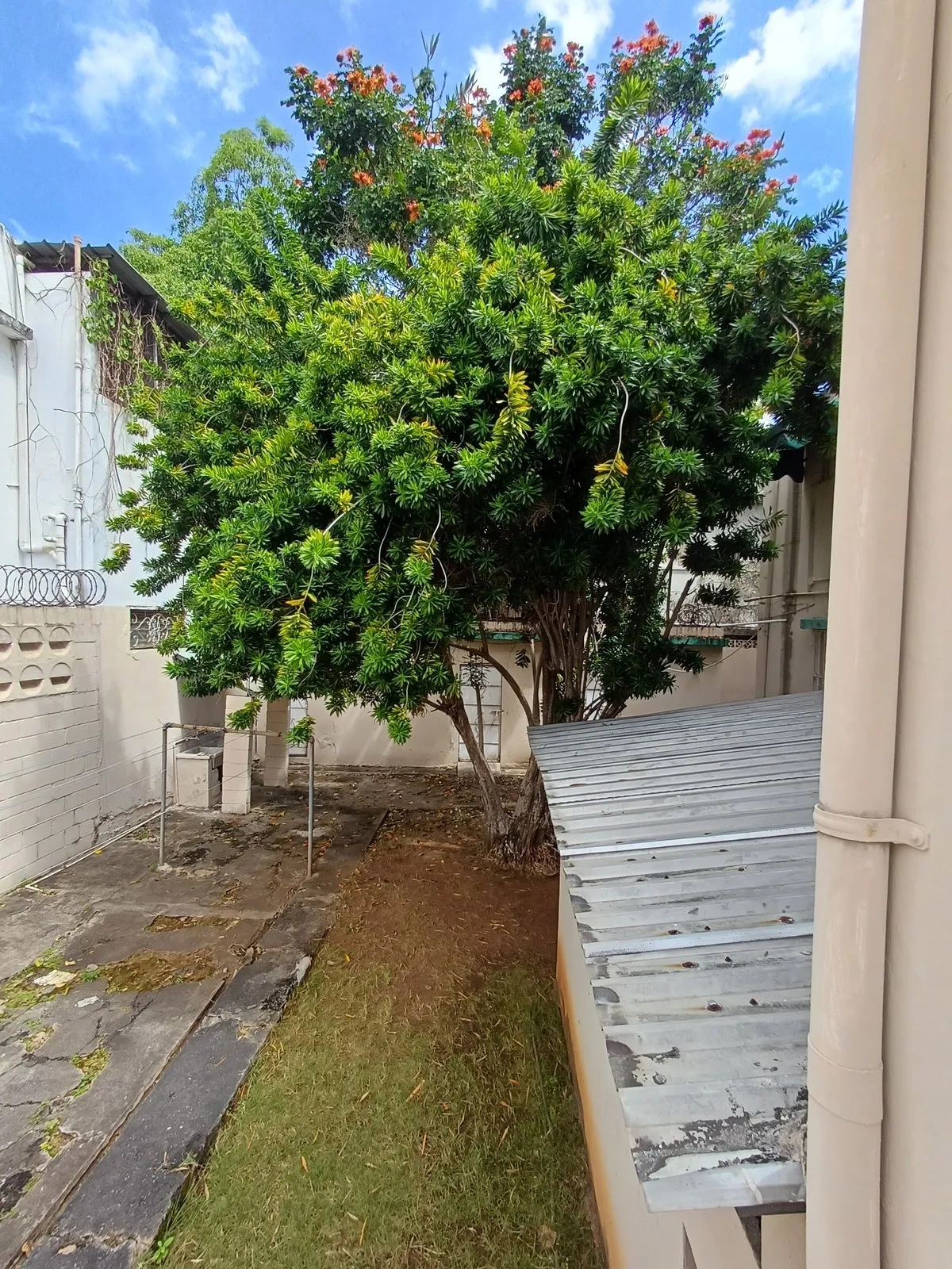 VENTA DE PERFECTO TERRENO EN LO MEJOR DE GAZCUE Foto 7268795-3.jpg