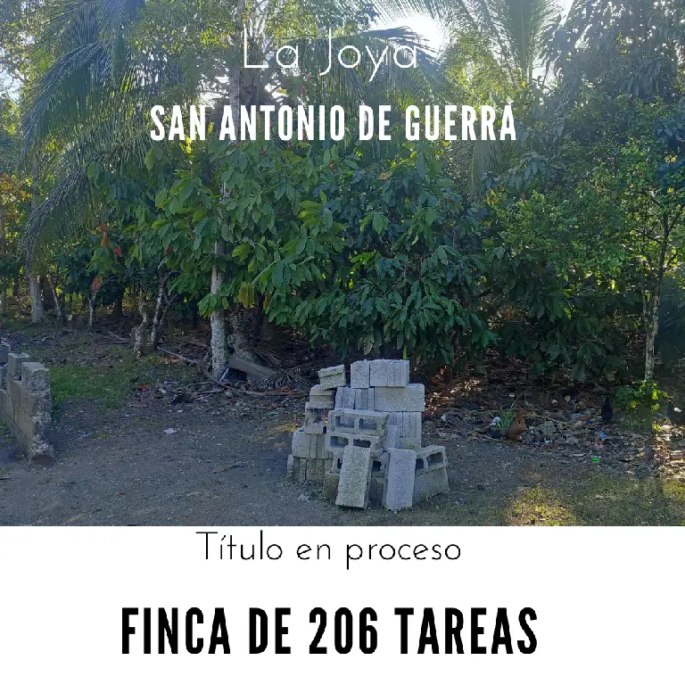 Finca de 206 tareas con vocación Agrícola y Ganadera en San Antonio de Foto 7268878-1.jpg