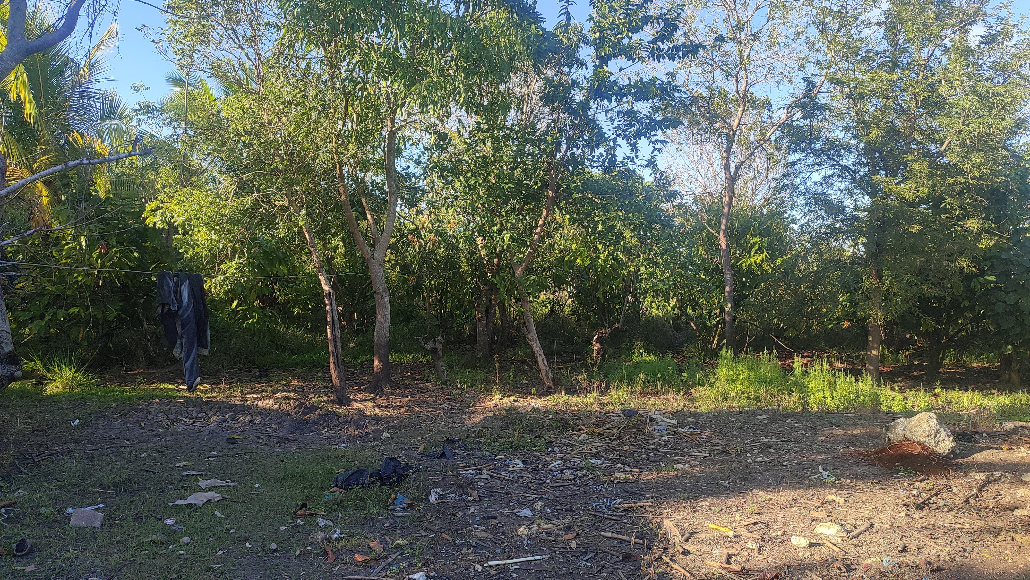 Finca de 206 tareas con vocación Agrícola y Ganadera en San Antonio de Foto 7268878-3.jpg