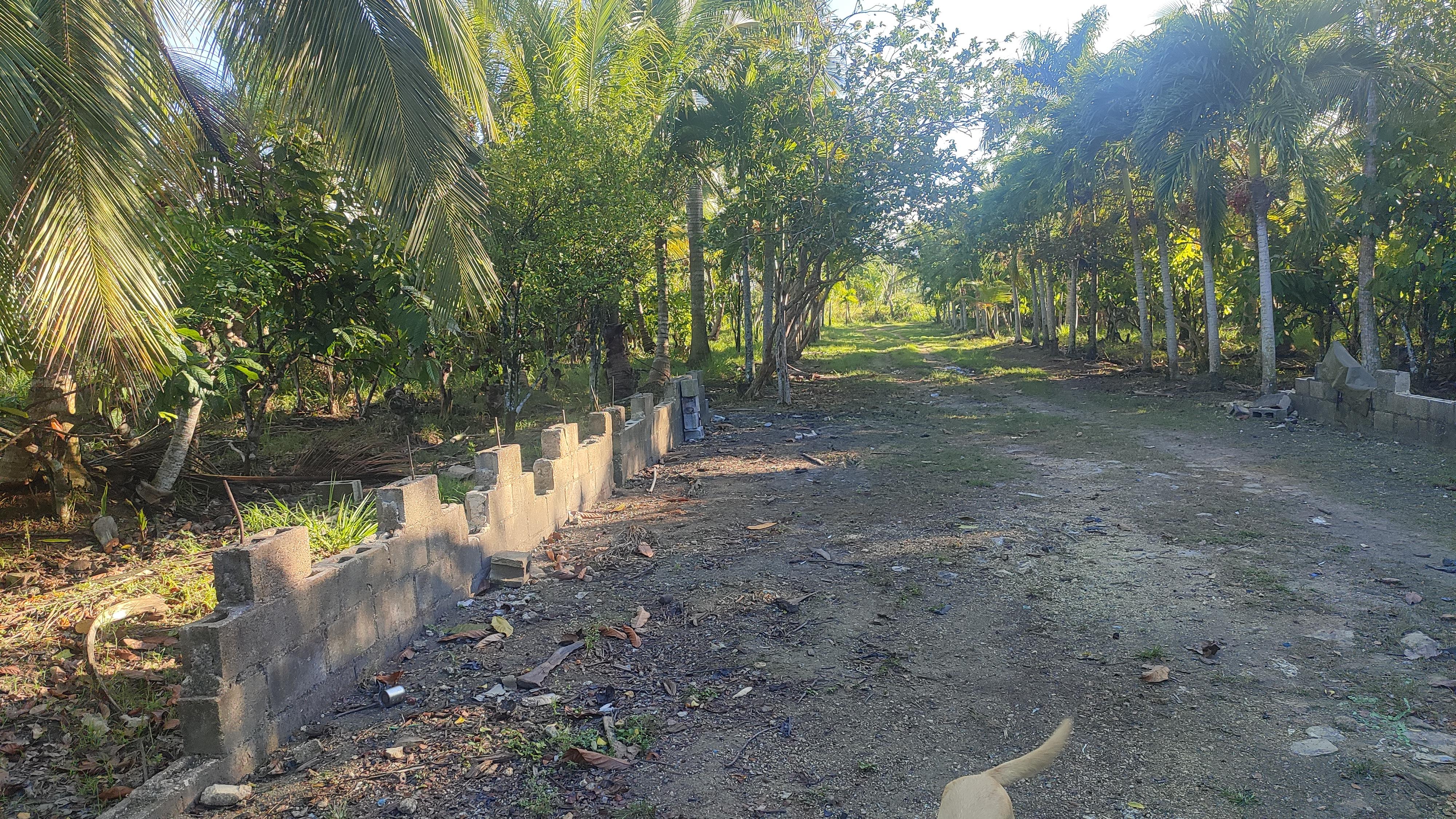 Finca de 206 tareas con vocación Agrícola y Ganadera en San Antonio de Foto 7268878-4.jpg
