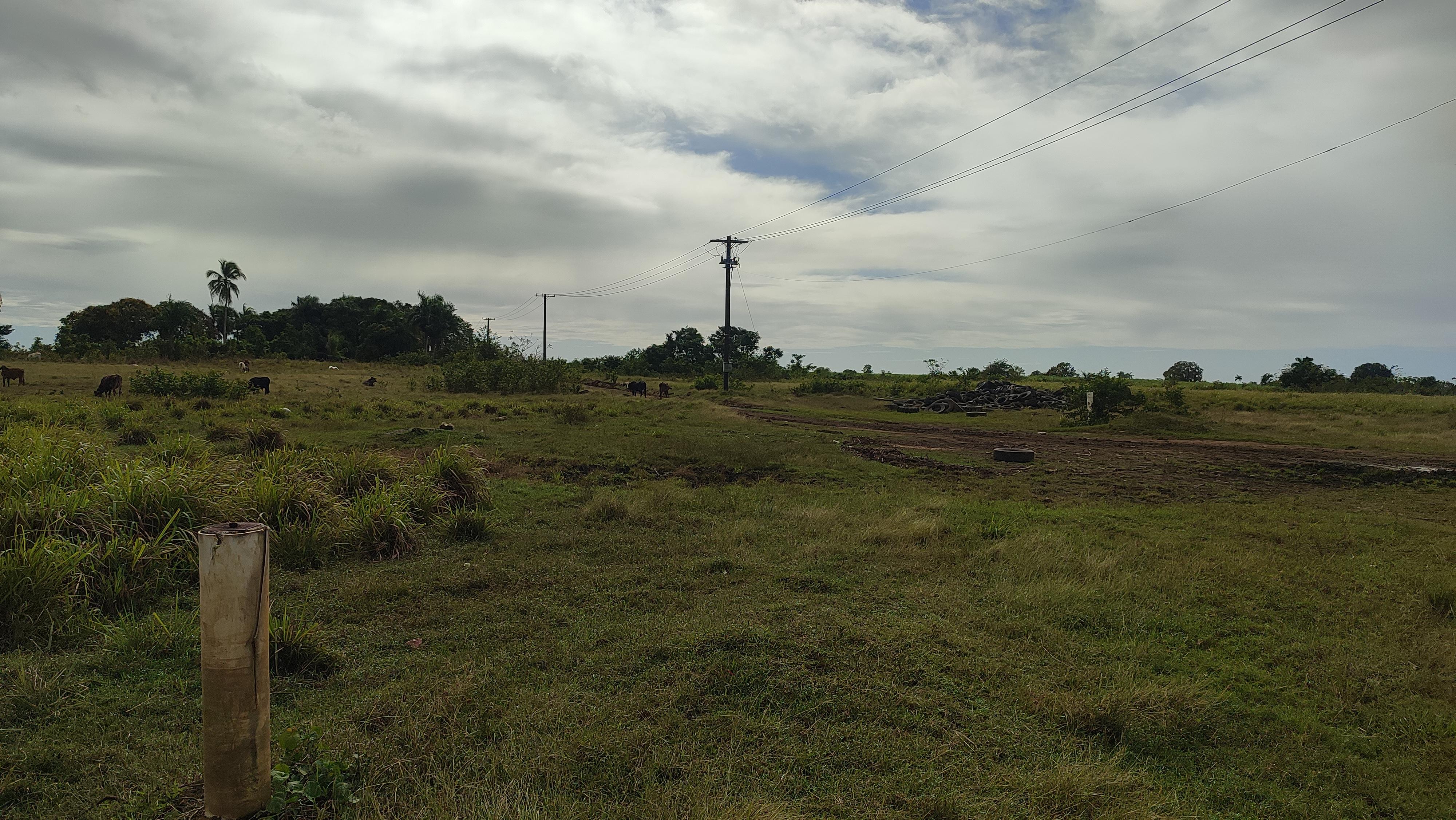 Finca de 1300 tareas sembradas de caña en San Antonio de Guerra  Foto 7268931-6.jpg