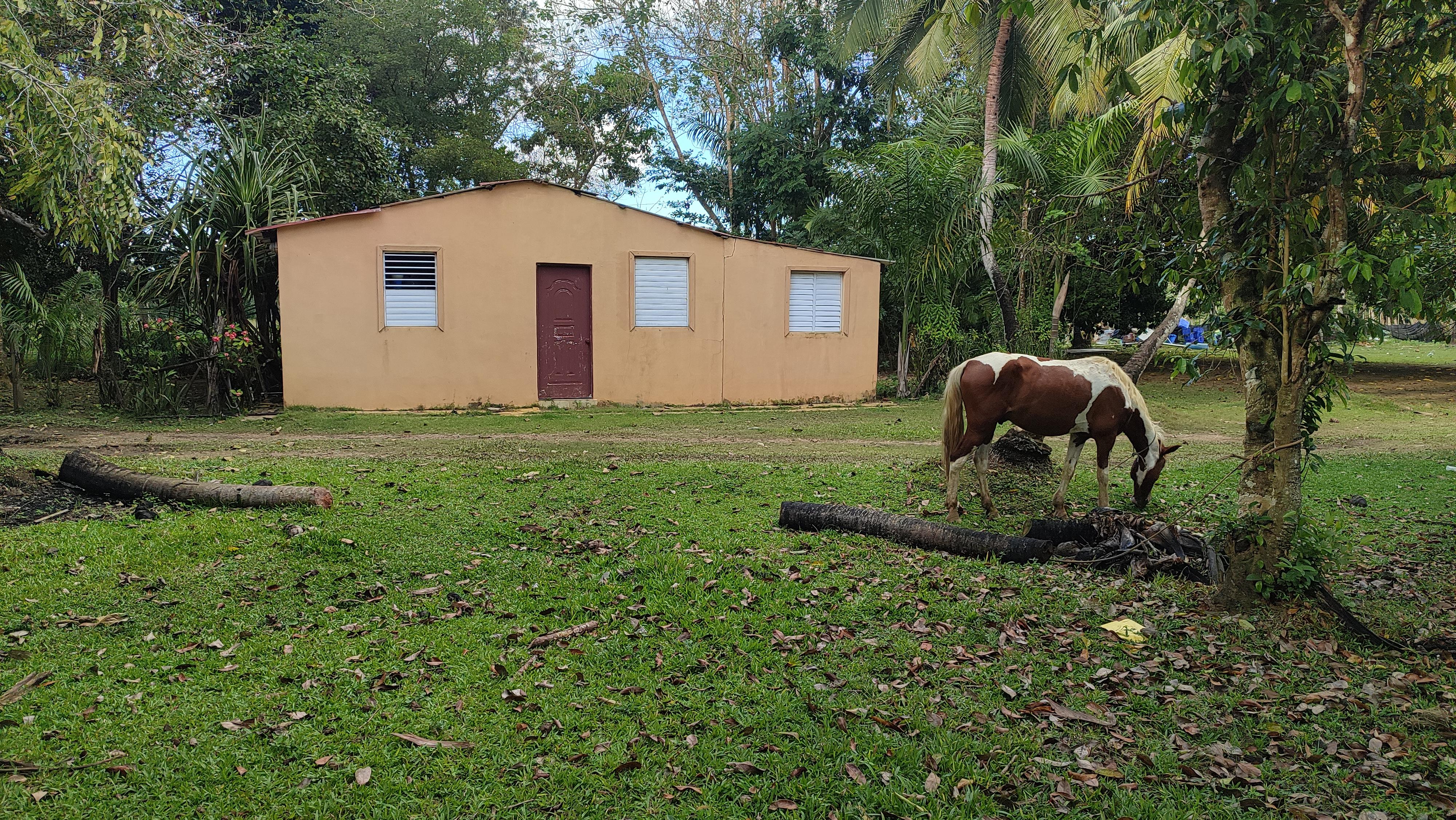 Finca de 375 tareas con vocación Agrícola y Ganadera en San Antonio de Foto 7268937-2.jpg