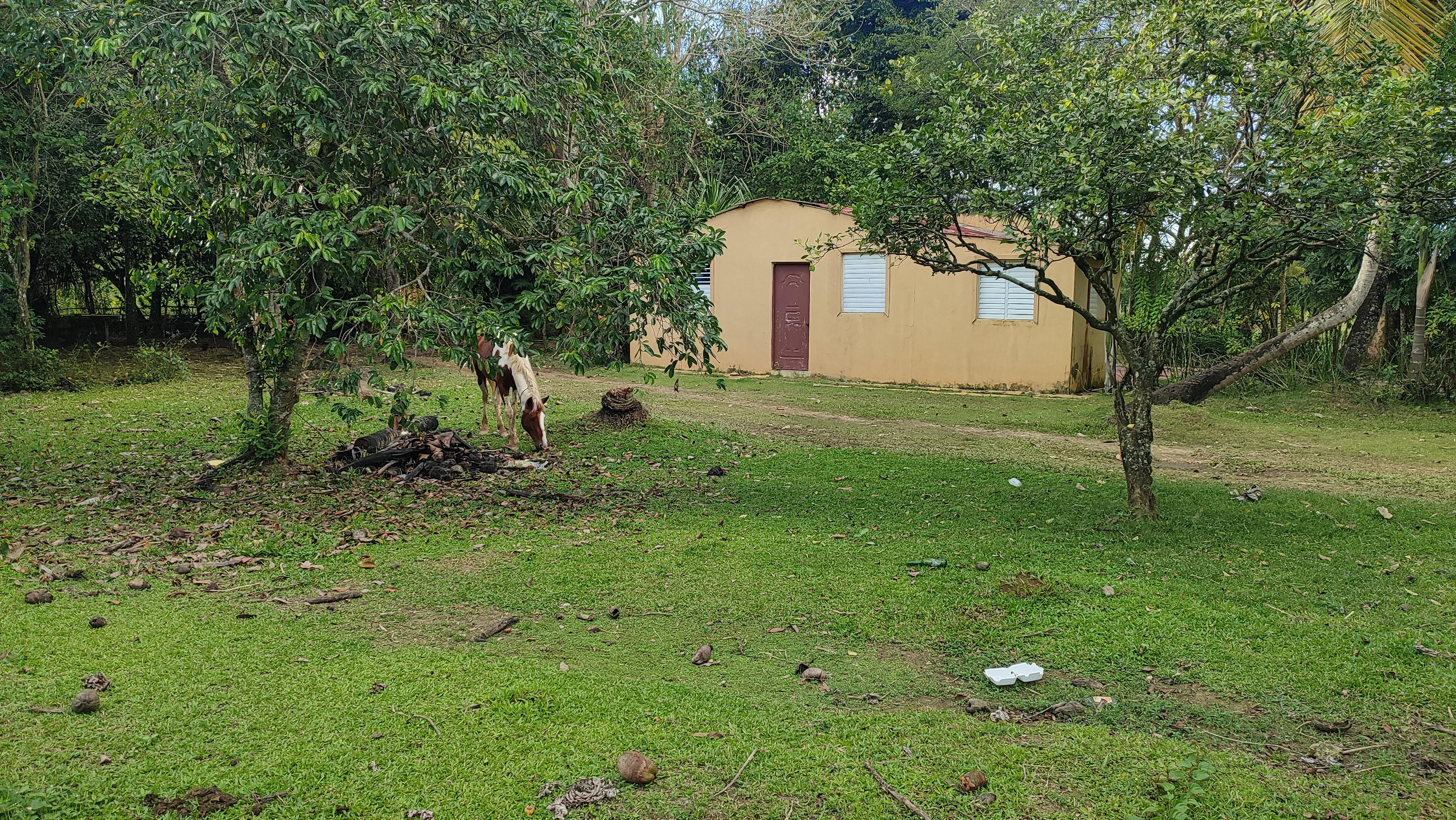 Finca de 375 tareas con vocación Agrícola y Ganadera en San Antonio de Foto 7268937-3.jpg