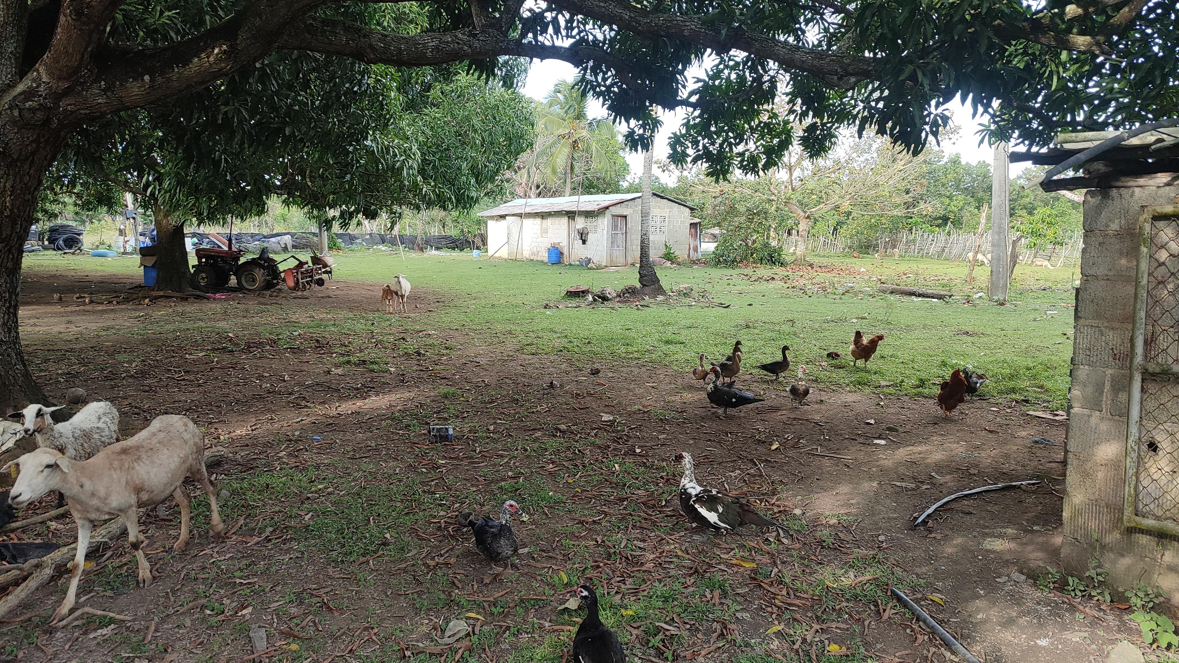 Finca de 375 tareas con vocación Agrícola y Ganadera en San Antonio de Foto 7268937-5.jpg