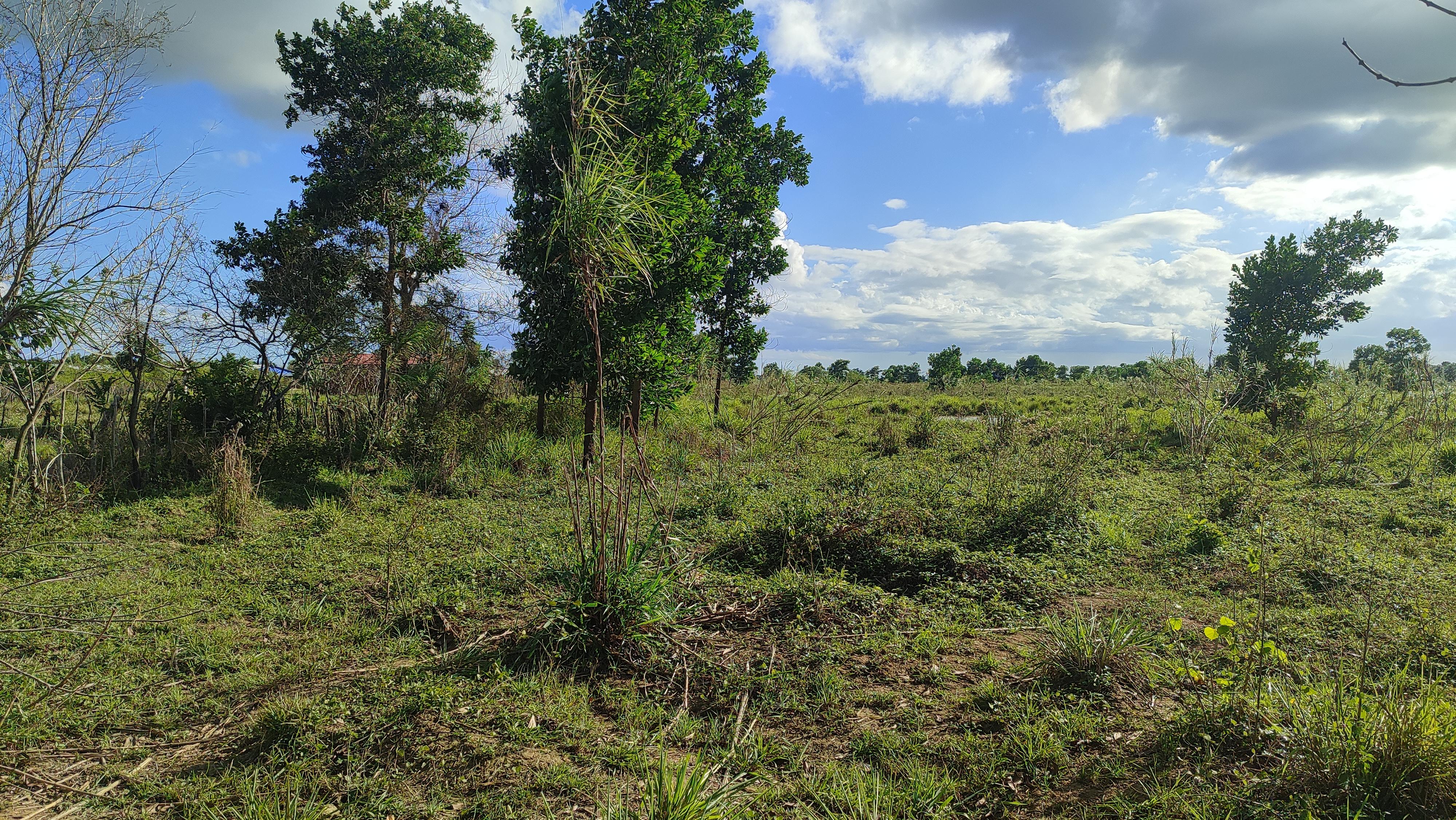 Finca de 375 tareas con vocación Agrícola y Ganadera en San Antonio de Foto 7268937-6.jpg