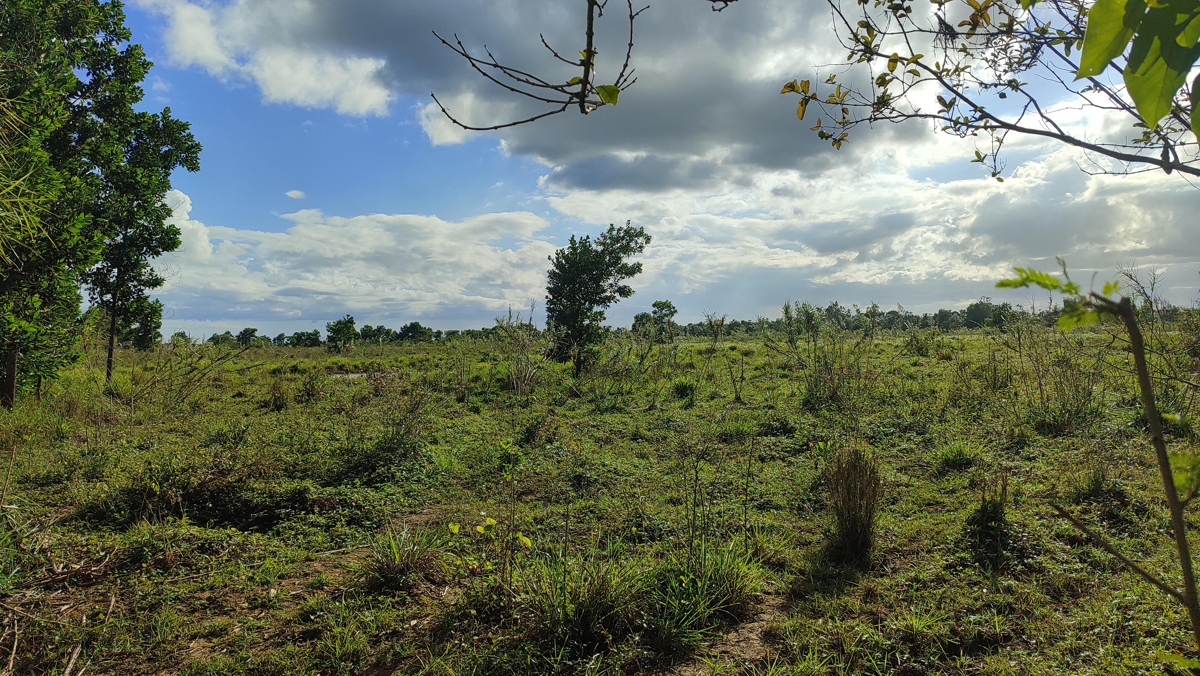 Finca de 375 tareas con vocación Agrícola y Ganadera en San Antonio de Foto 7268937-7.jpg