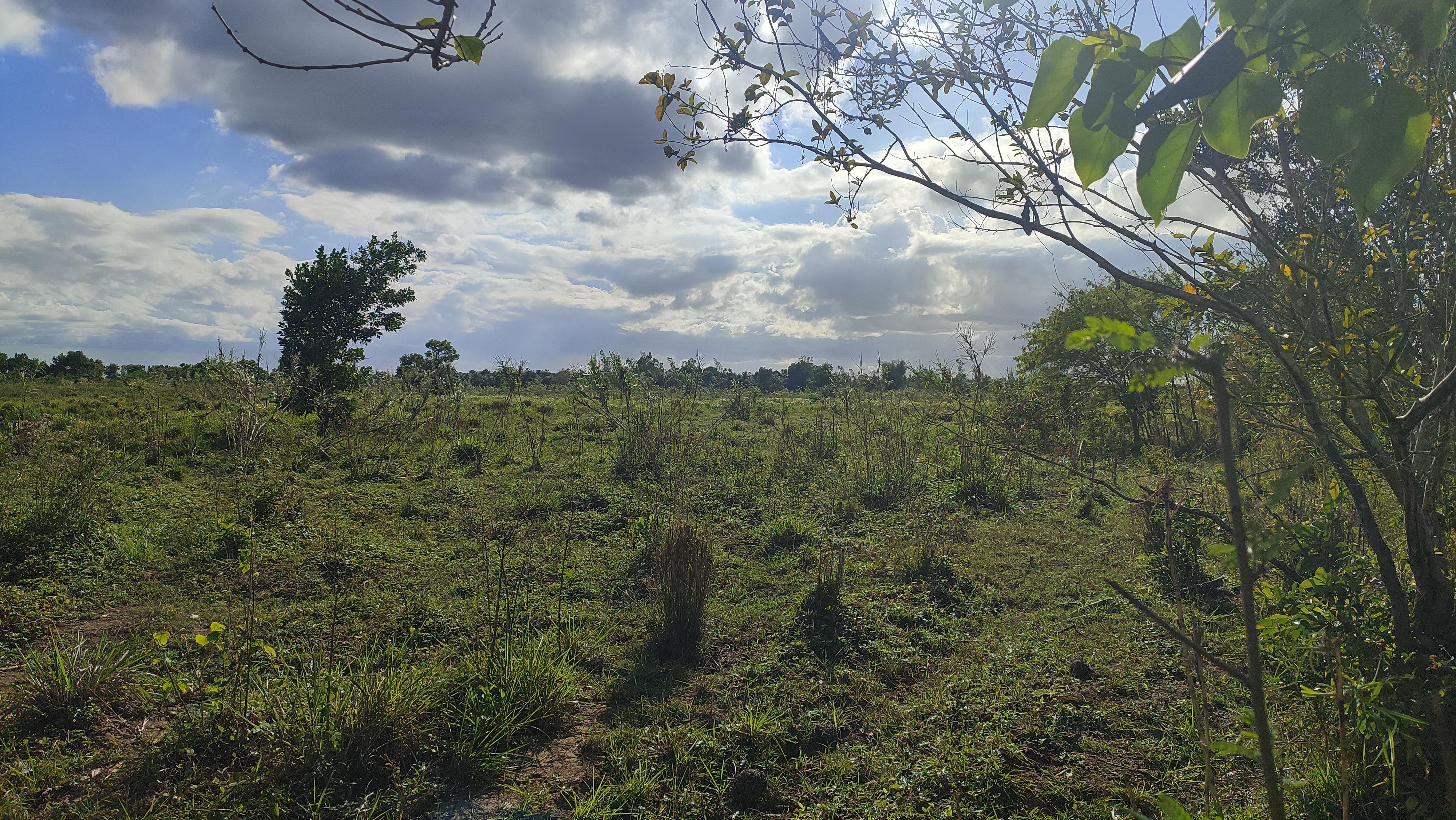 Finca de 375 tareas con vocación Agrícola y Ganadera en San Antonio de Foto 7268937-8.jpg