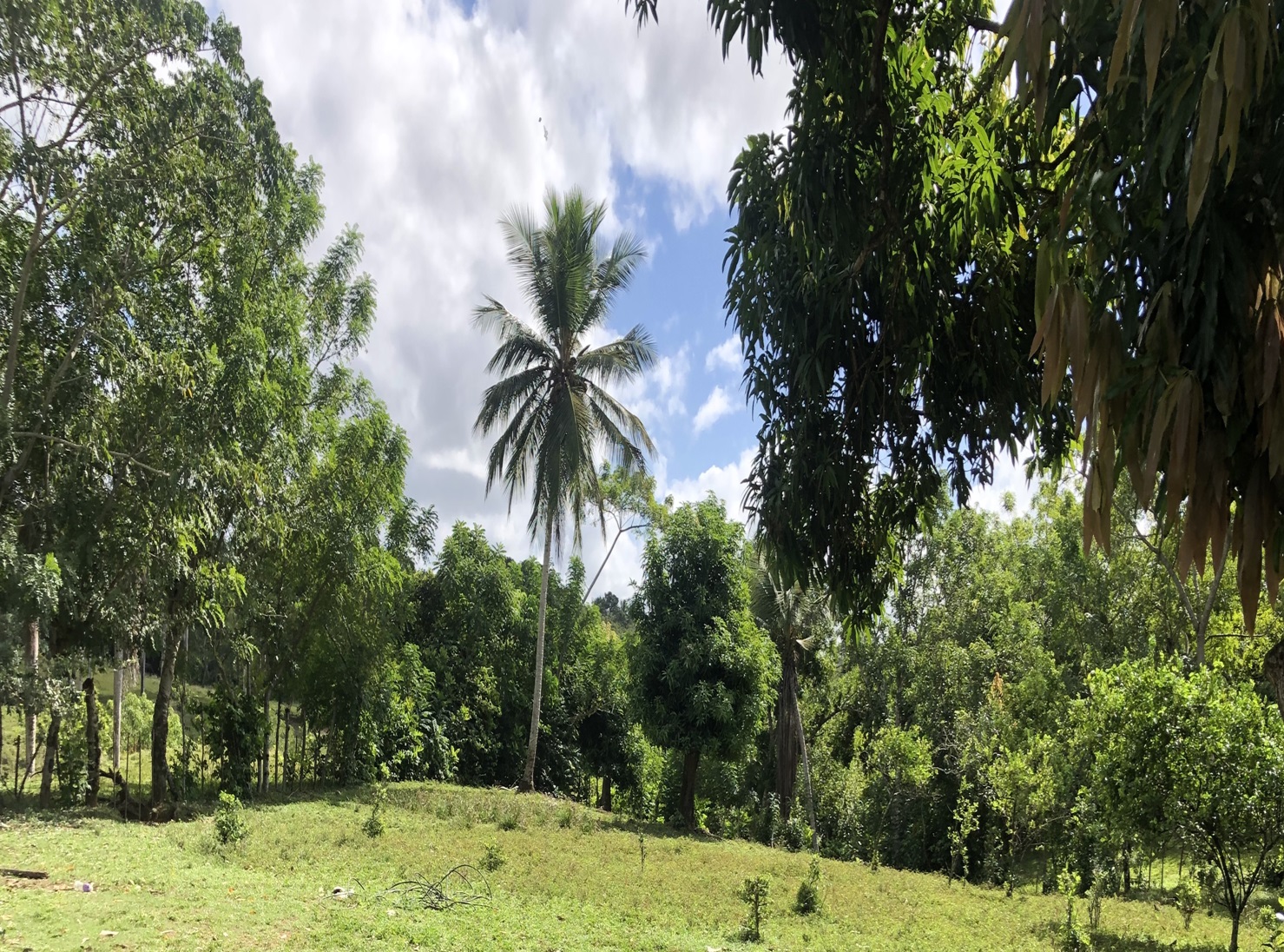 VENDO FINCA DE 252 TAREAS EN EL 35 DE YAMASA PRECIO REBAJADO Y A 2 PAG Foto 7268948-15.jpg
