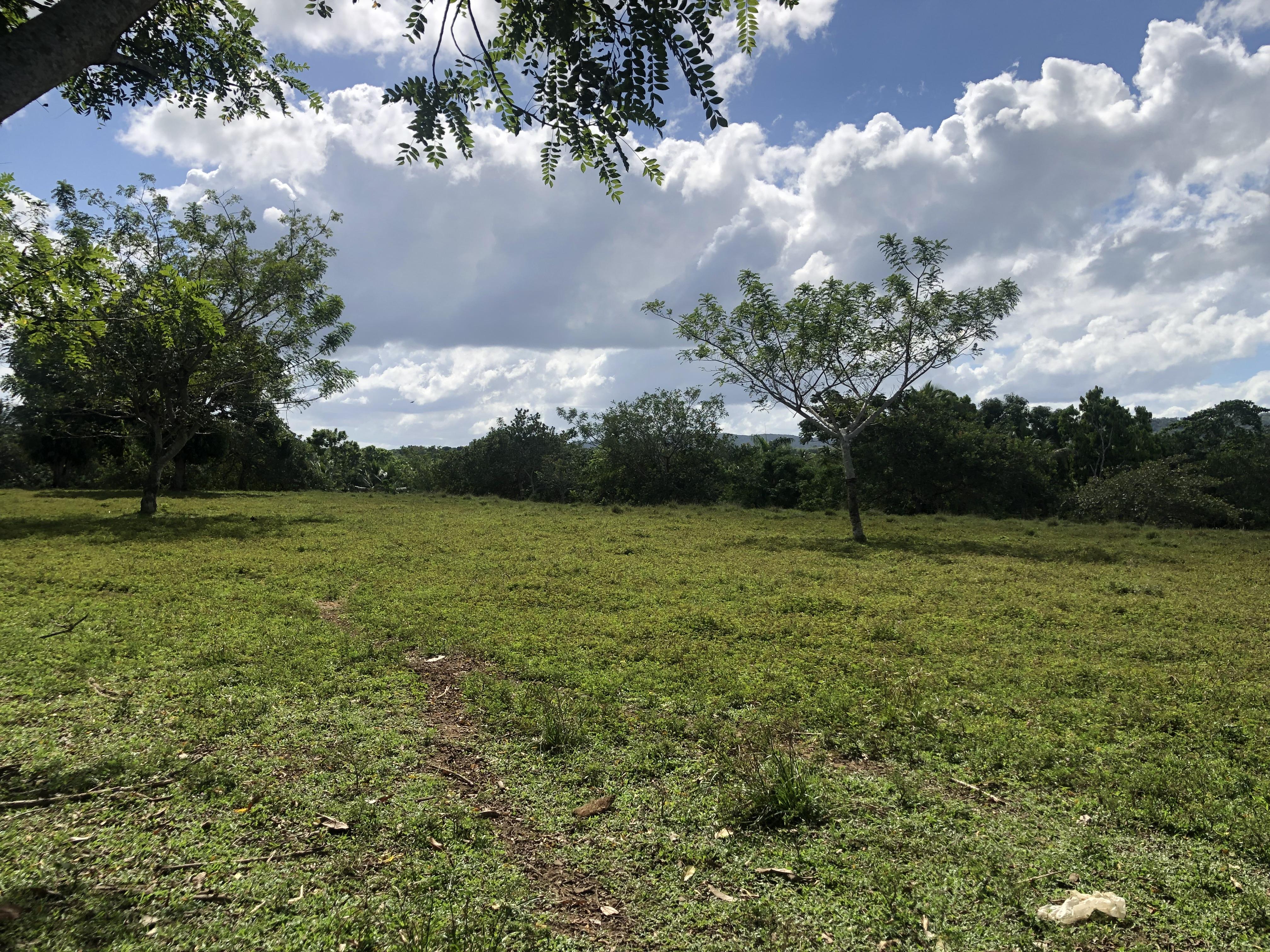 VENDO FINCA DE 252 TAREAS EN EL 35 DE YAMASA PRECIO REBAJADO Y A 2 PAG Foto 7268948-2.jpg