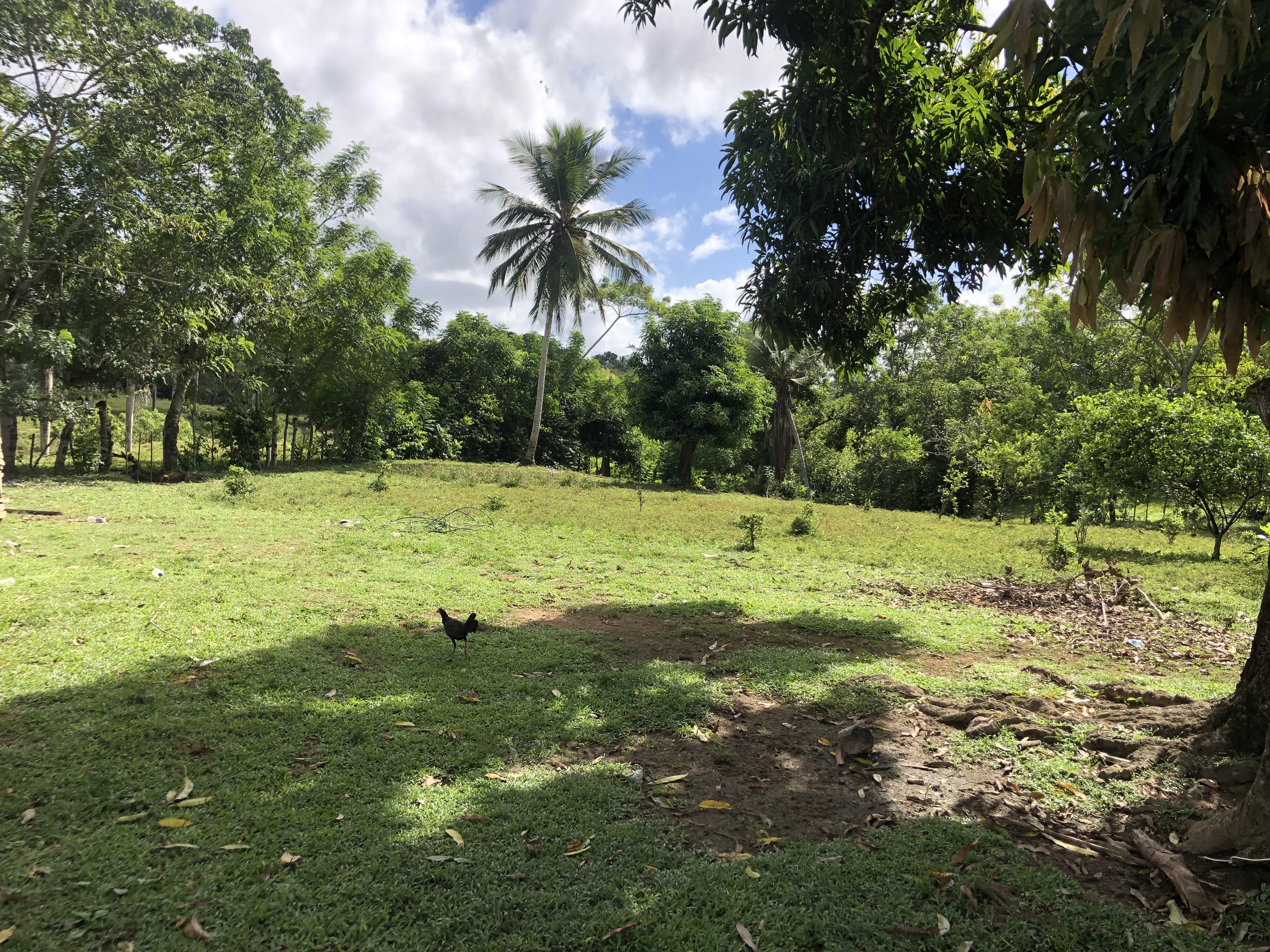 VENDO FINCA DE 252 TAREAS EN EL 35 DE YAMASA PRECIO REBAJADO Y A 2 PAG Foto 7268948-3.jpg