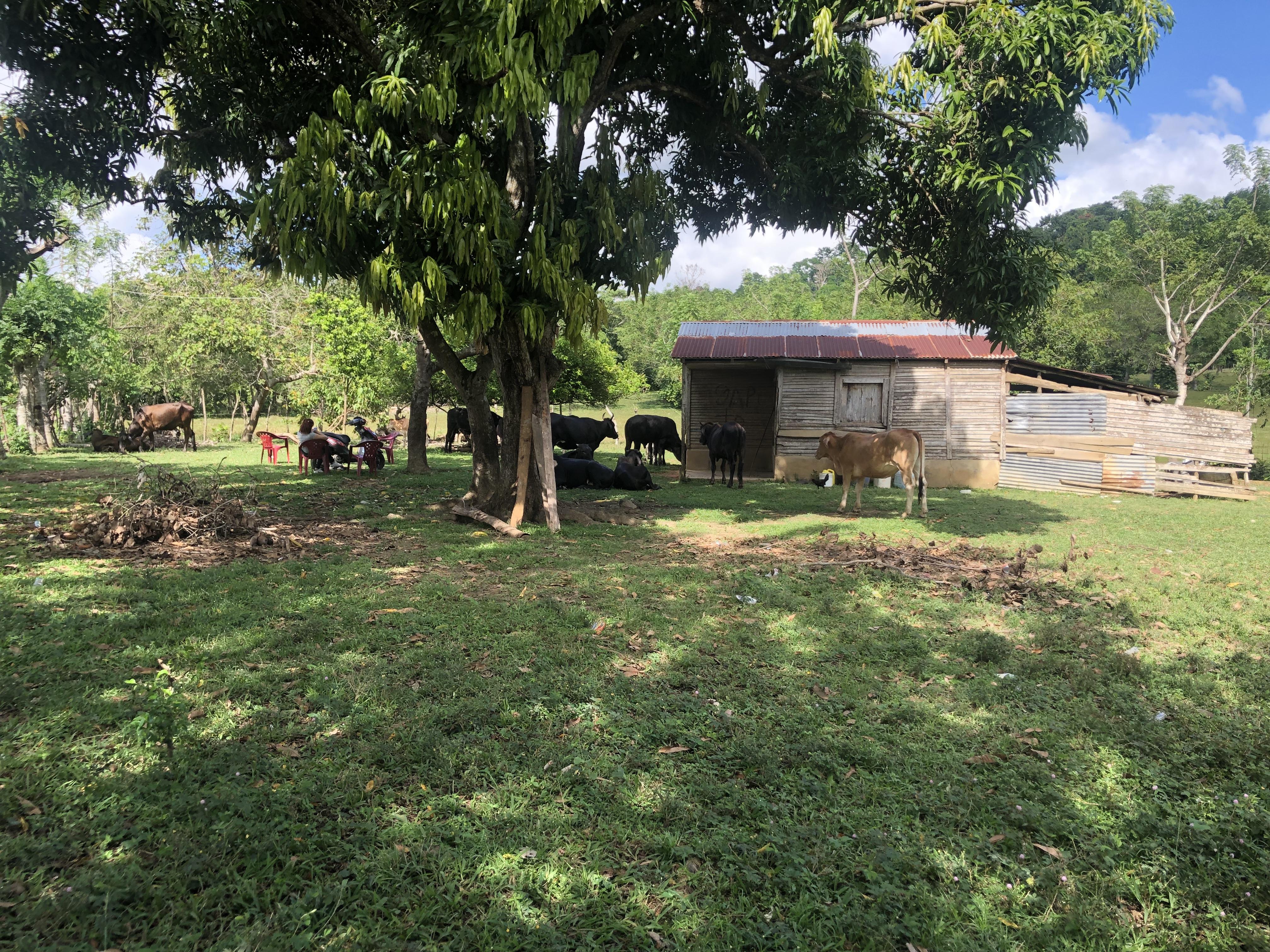 VENDO FINCA DE 252 TAREAS EN EL 35 DE YAMASA PRECIO REBAJADO Y A 2 PAG Foto 7268948-4.jpg