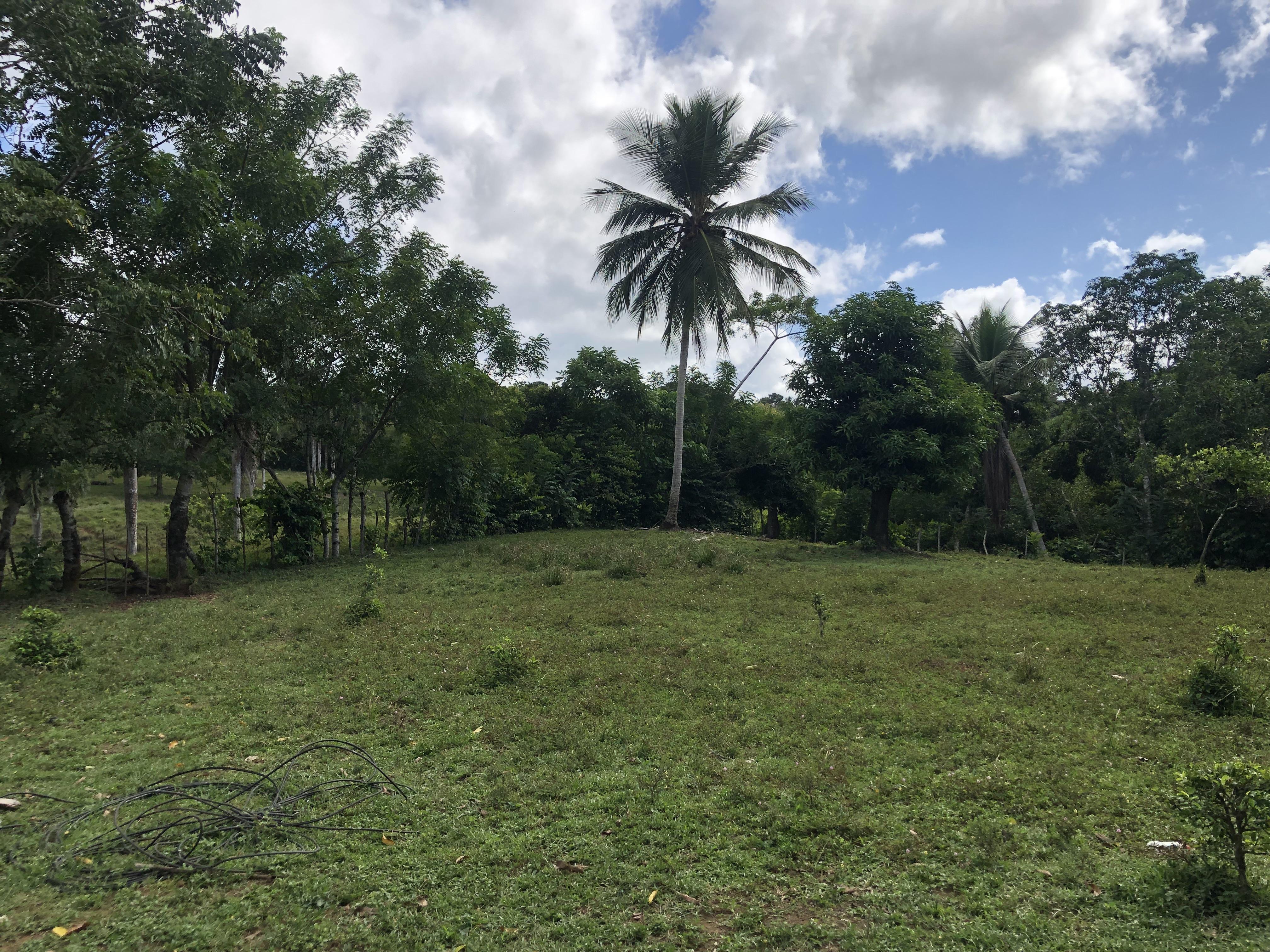 VENDO FINCA DE 252 TAREAS EN EL 35 DE YAMASA PRECIO REBAJADO Y A 2 PAG Foto 7268948-5.jpg