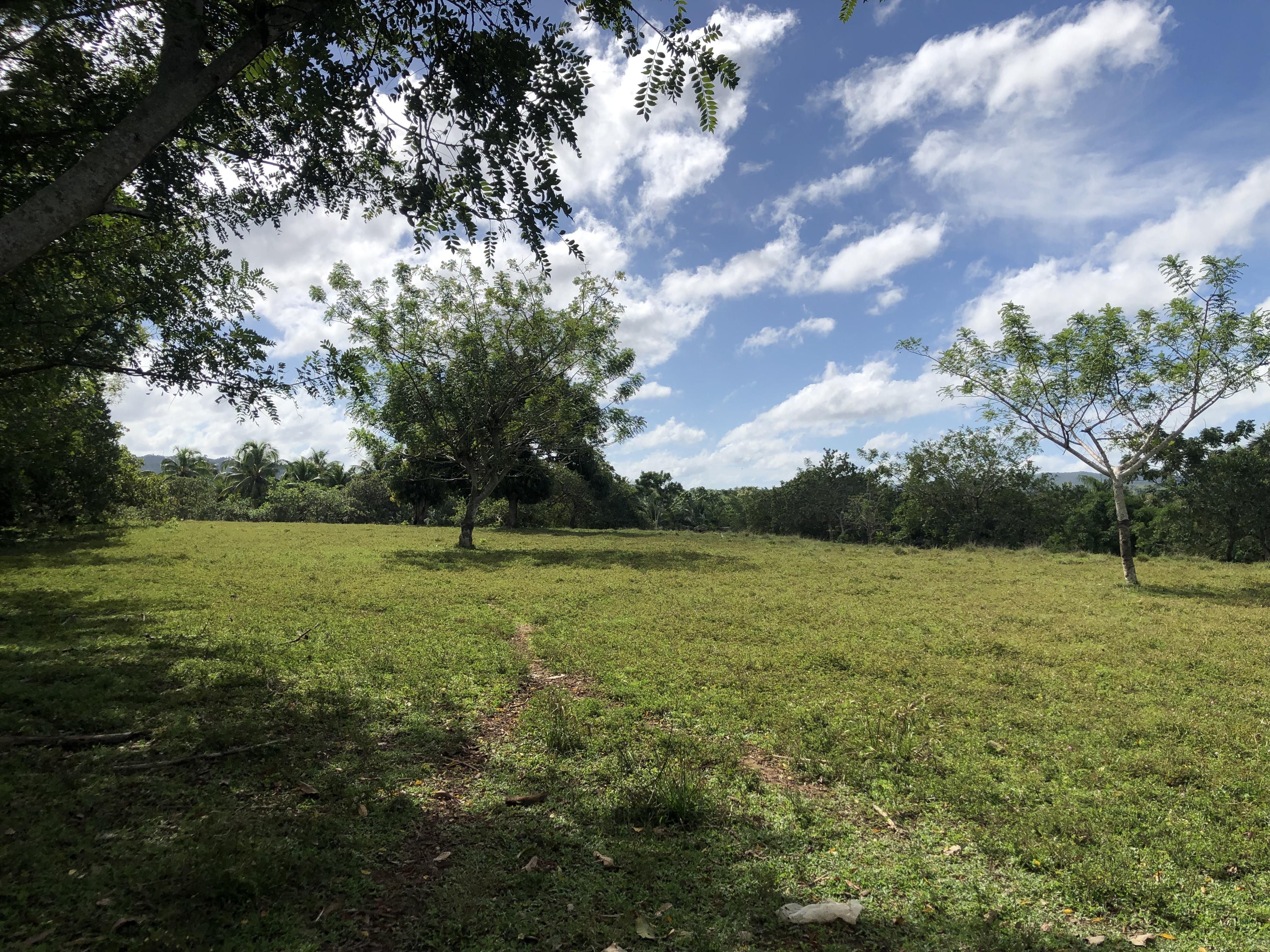 VENDO FINCA DE 252 TAREAS EN EL 35 DE YAMASA PRECIO REBAJADO Y A 2 PAG Foto 7268948-6.jpg