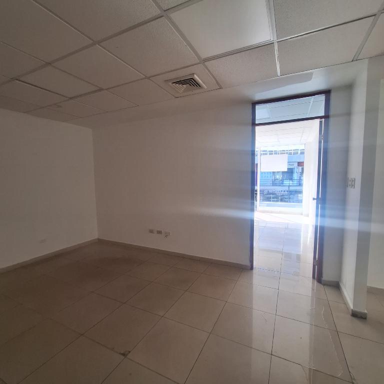 Local comercial en alquiler en Piantini  Foto 7268997-10.jpg