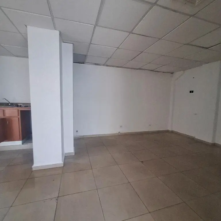 Local comercial en alquiler en Piantini  Foto 7268997-8.jpg
