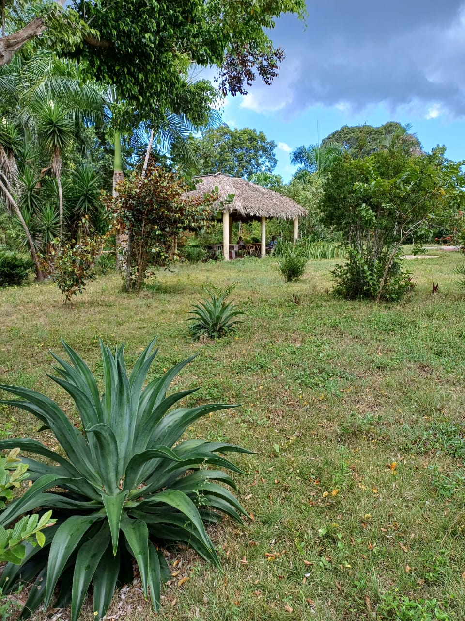 Finquita de 9 Tareas Ecoturísticas con Casa campestre en La Romana Foto 7269033-4.jpg