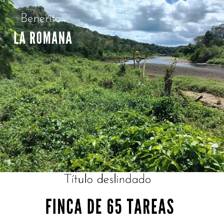 Finca de 65 tareas Eco-turísticas y Agrícolas en La Romana Foto 7269087-1.jpg