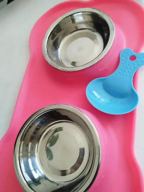 plato para perro pequeño Shih Tzu y chiguagua Foto 7269106-2.jpg
