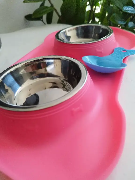 plato para perro pequeño Shih Tzu y chiguagua Foto 7269106-5.jpg