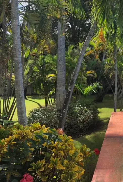 Casa en Alquiler con Piscina frente al Mar en Barahona Foto 7269176-11.jpg