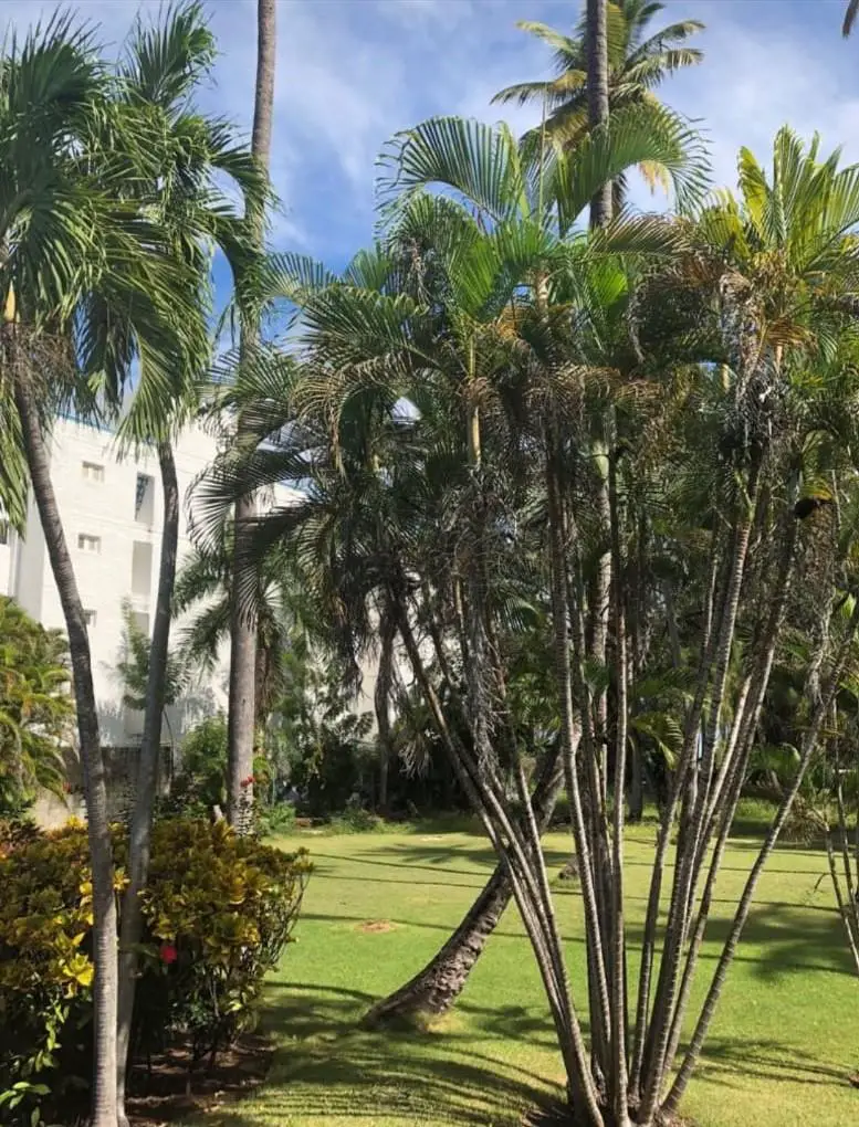 Casa en Alquiler con Piscina frente al Mar en Barahona Foto 7269176-13.jpg