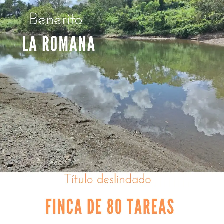 Finca de 80 tareas Eco-turísticas y Agrícolas en La Romana Foto 7269558-1.jpg