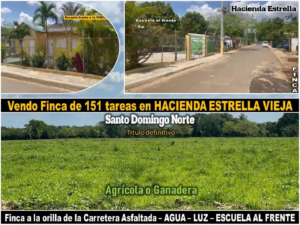 SE VENDE FINCA DE 151 TAREAS EN HACIENDA ESTRELLA VIEJA A LA ORILLA DE Foto 7269828-1.jpg