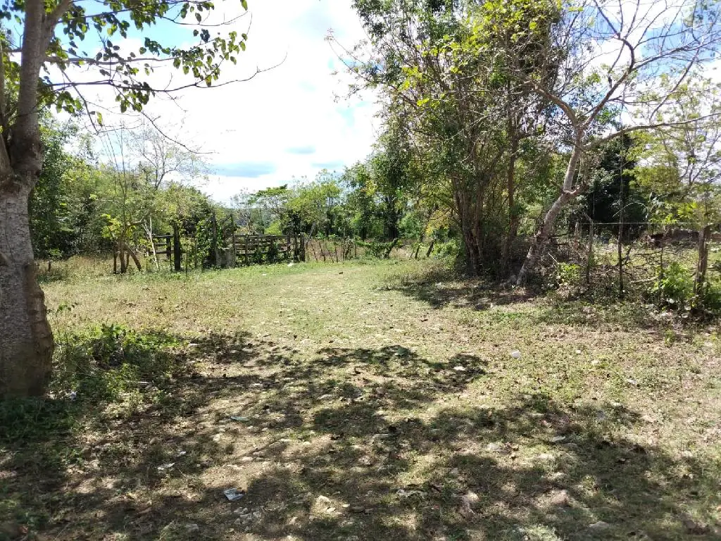 Finquita de 5 tareas Eco-turísticas y Agrícolas con río en La Romana Foto 7270186-2.jpg