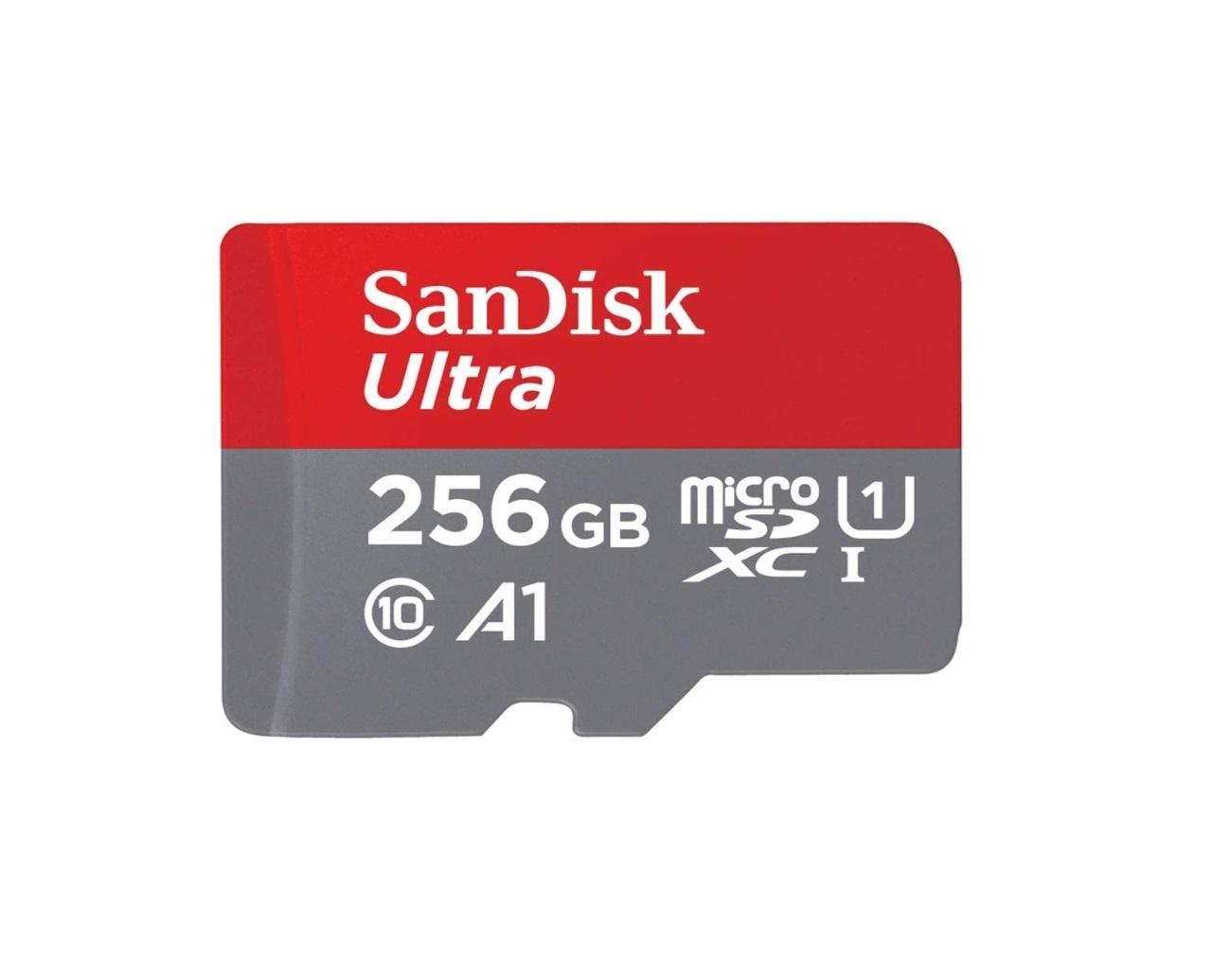Memoria Microsd 256GB Sandisk Micro SD 256 GB Foto 7270190-1.jpg