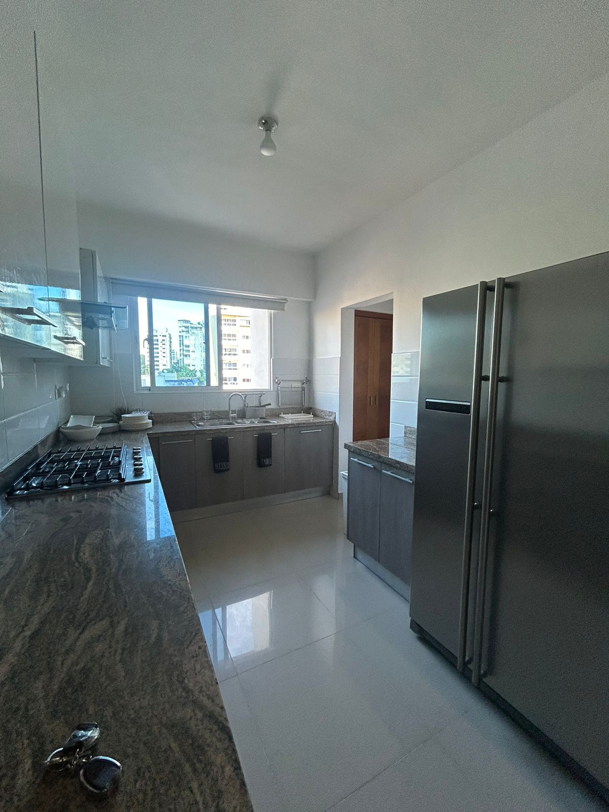 Se alquila hermoso apartamento  Amueblado Gazcue  Foto 7270466-5.jpg