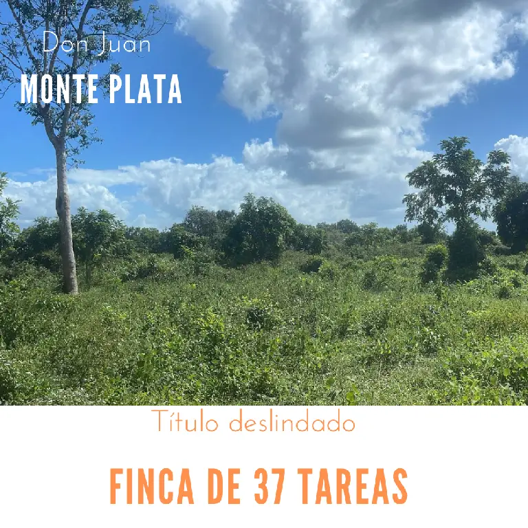 Finca de 37 tareas con vocación Agrícola en Monte Plata  Foto 7270539-1.jpg