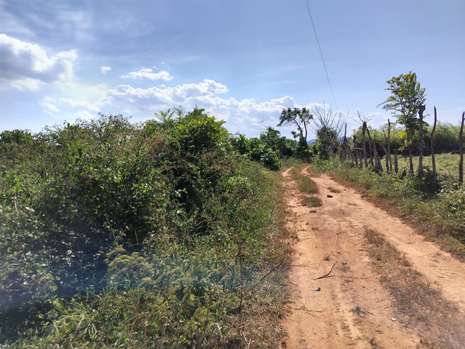 Finca de 37 tareas con vocación Agrícola en Monte Plata  Foto 7270539-4.jpg
