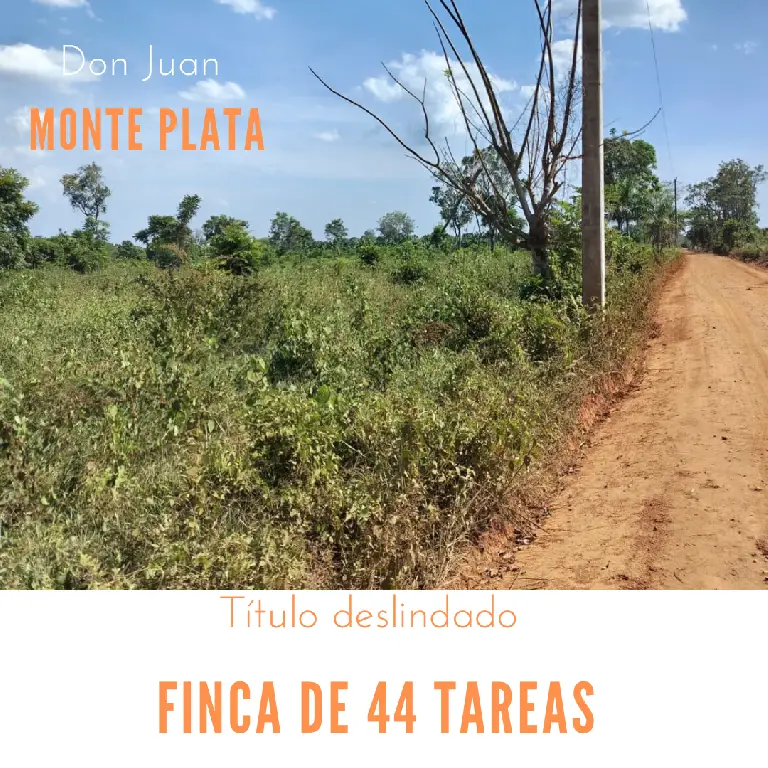 Finca de 44 tareas vocación Agrícola acta para todos tipos de siembra  Foto 7270593-7.jpg