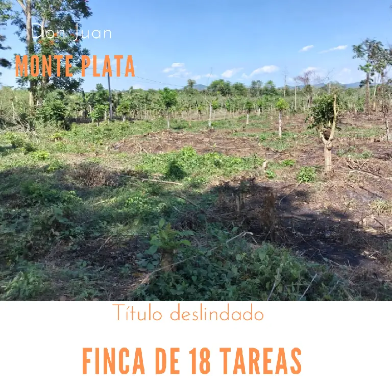 Finca de 18 tareas Agrícola ideal para casas campestres en Monte Plata Foto 7270618-1.jpg