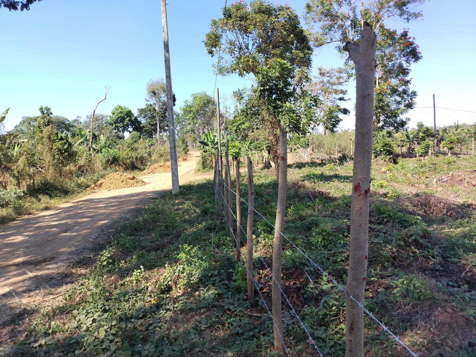 Finca de 18 tareas Agrícola ideal para casas campestres en Monte Plata Foto 7270618-3.jpg