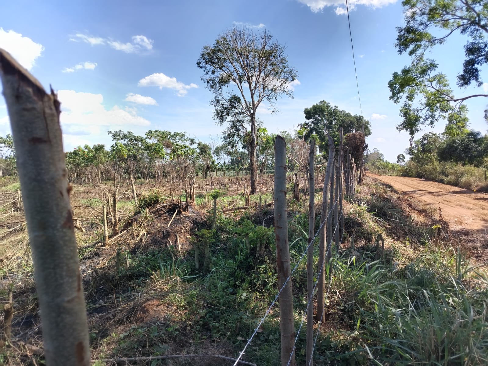 Finca de 18 tareas Agrícola ideal para casas campestres en Monte Plata Foto 7270618-4.jpg