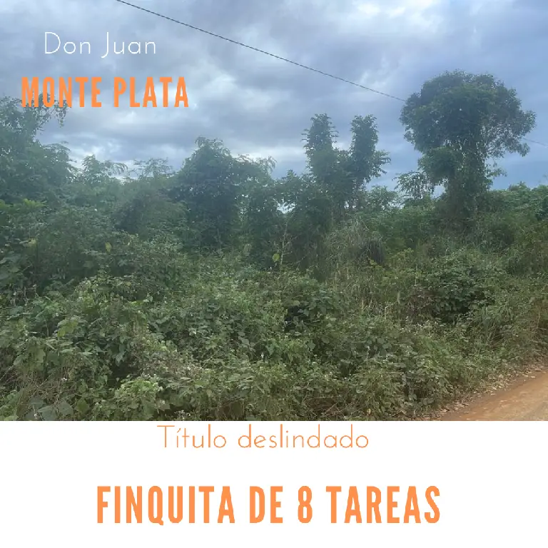 Finquita de 8 tareas agrícolas en Monte Plata Foto 7270631-1.jpg
