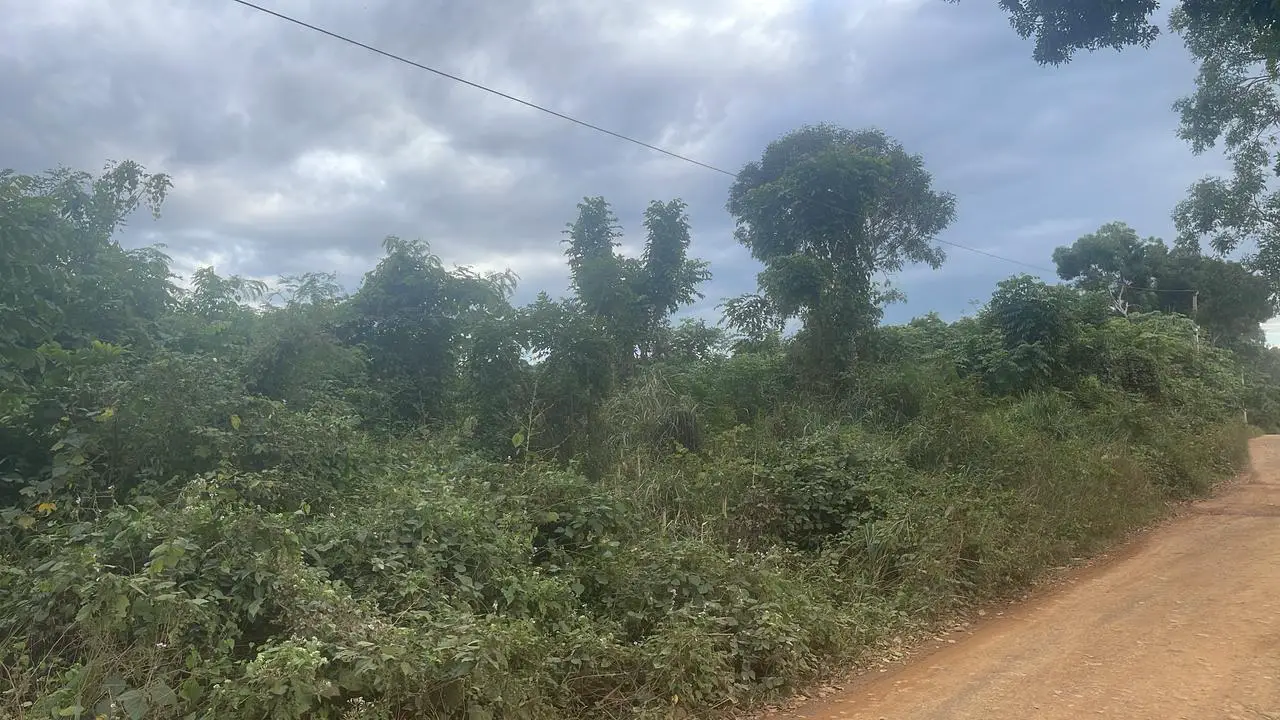 Finquita de 8 tareas agrícolas en Monte Plata Foto 7270631-2.jpg